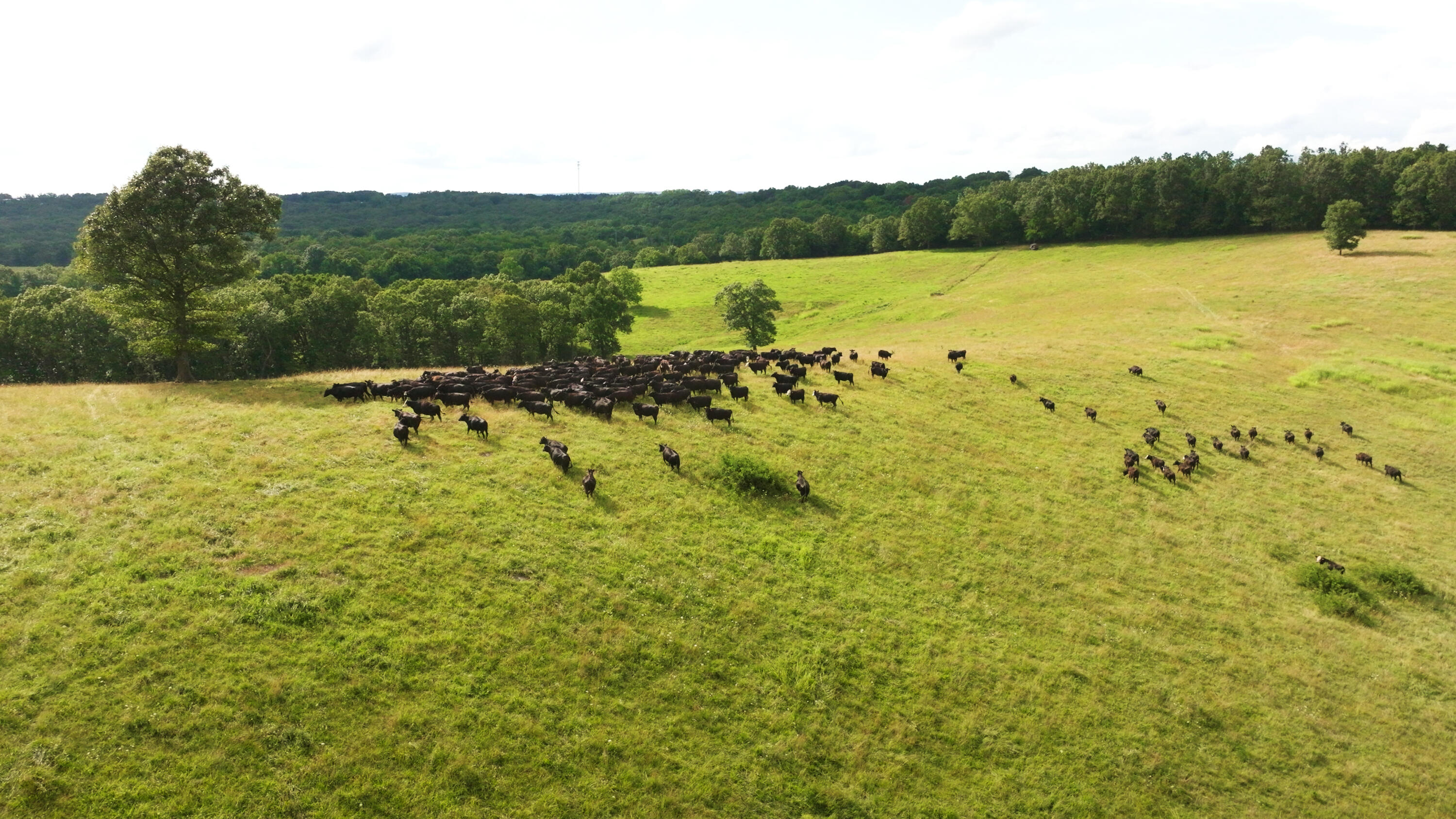 15576 State Highway 76 Property Photo 99