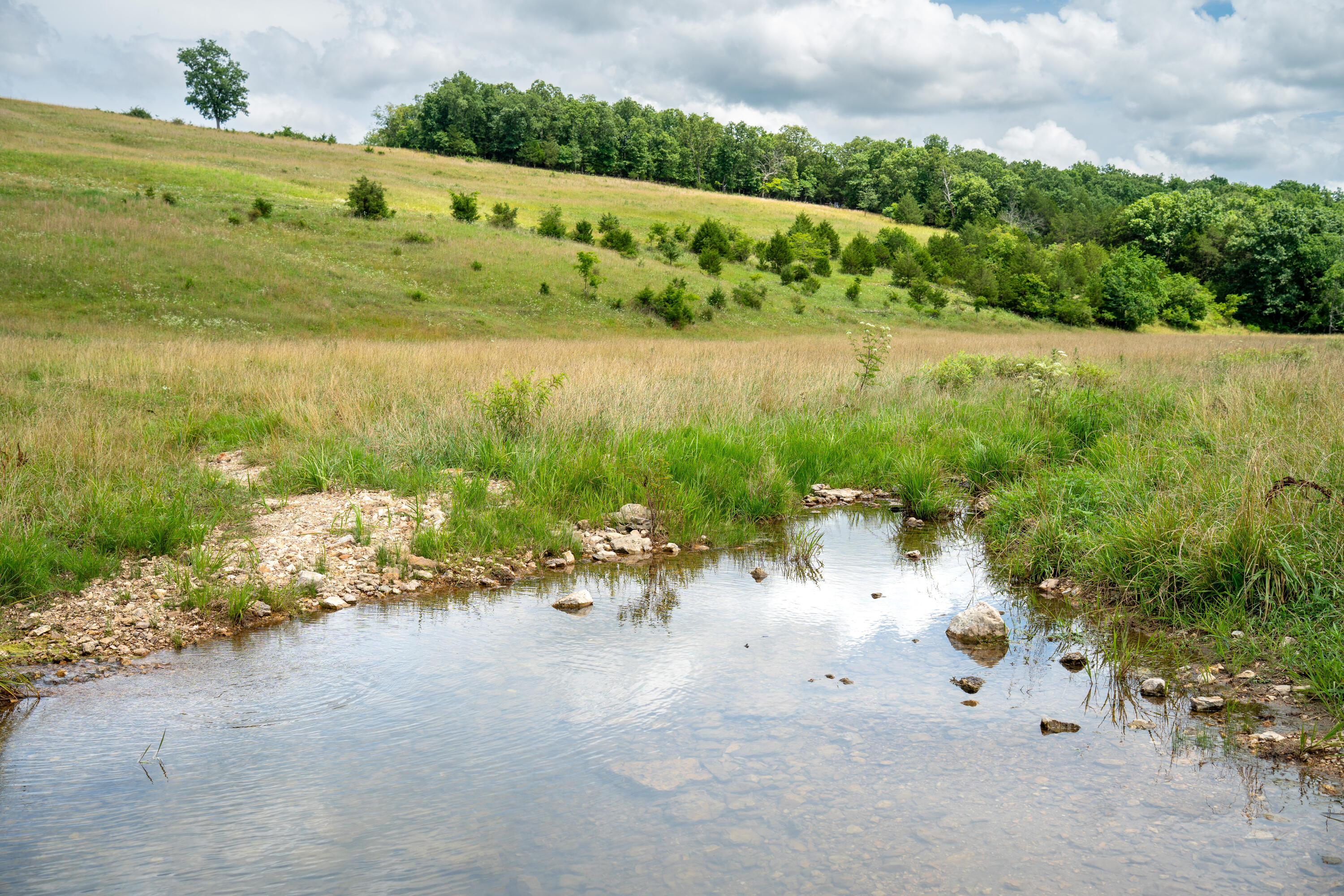 15576 State Highway 76 Property Photo 107