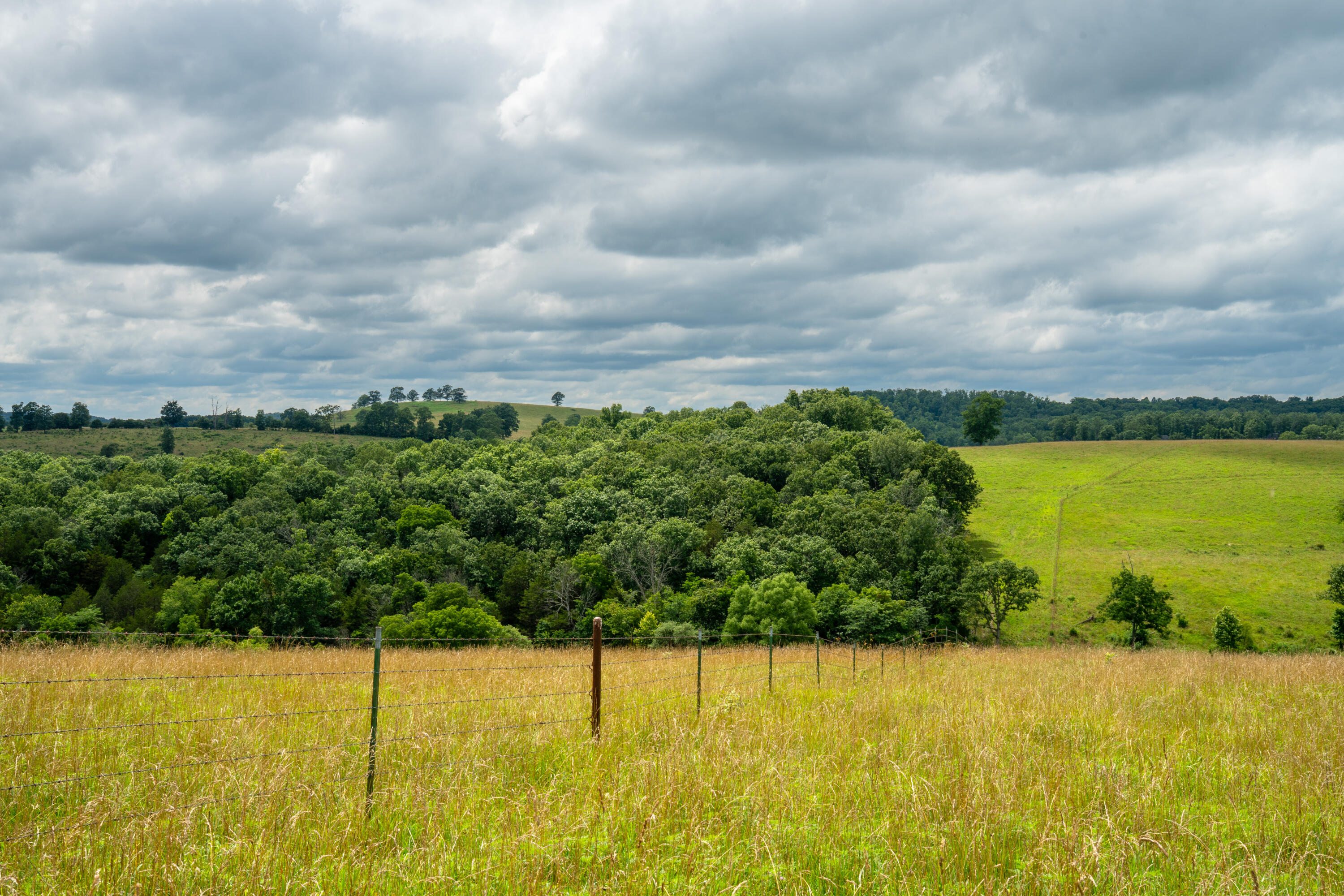 15576 State Highway 76 Property Photo 116