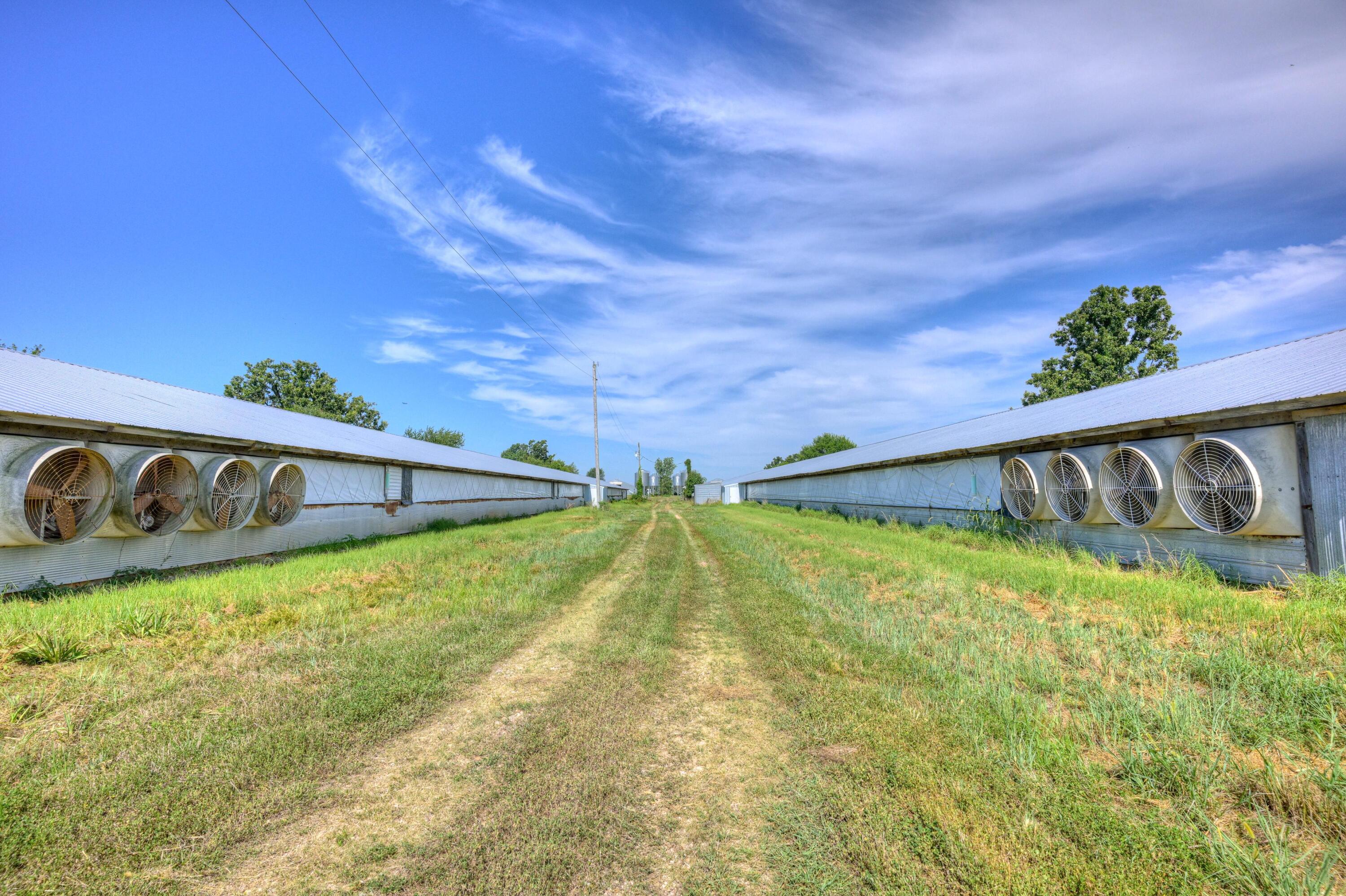 10432 Tiger Road Property Photo 4