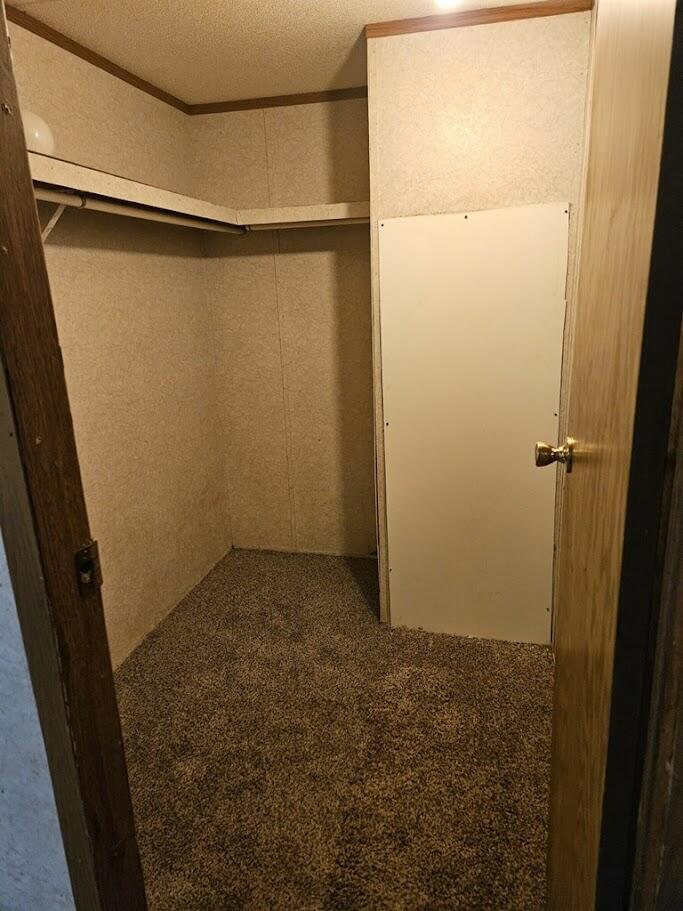 108 Herman Street Property Photo 5
