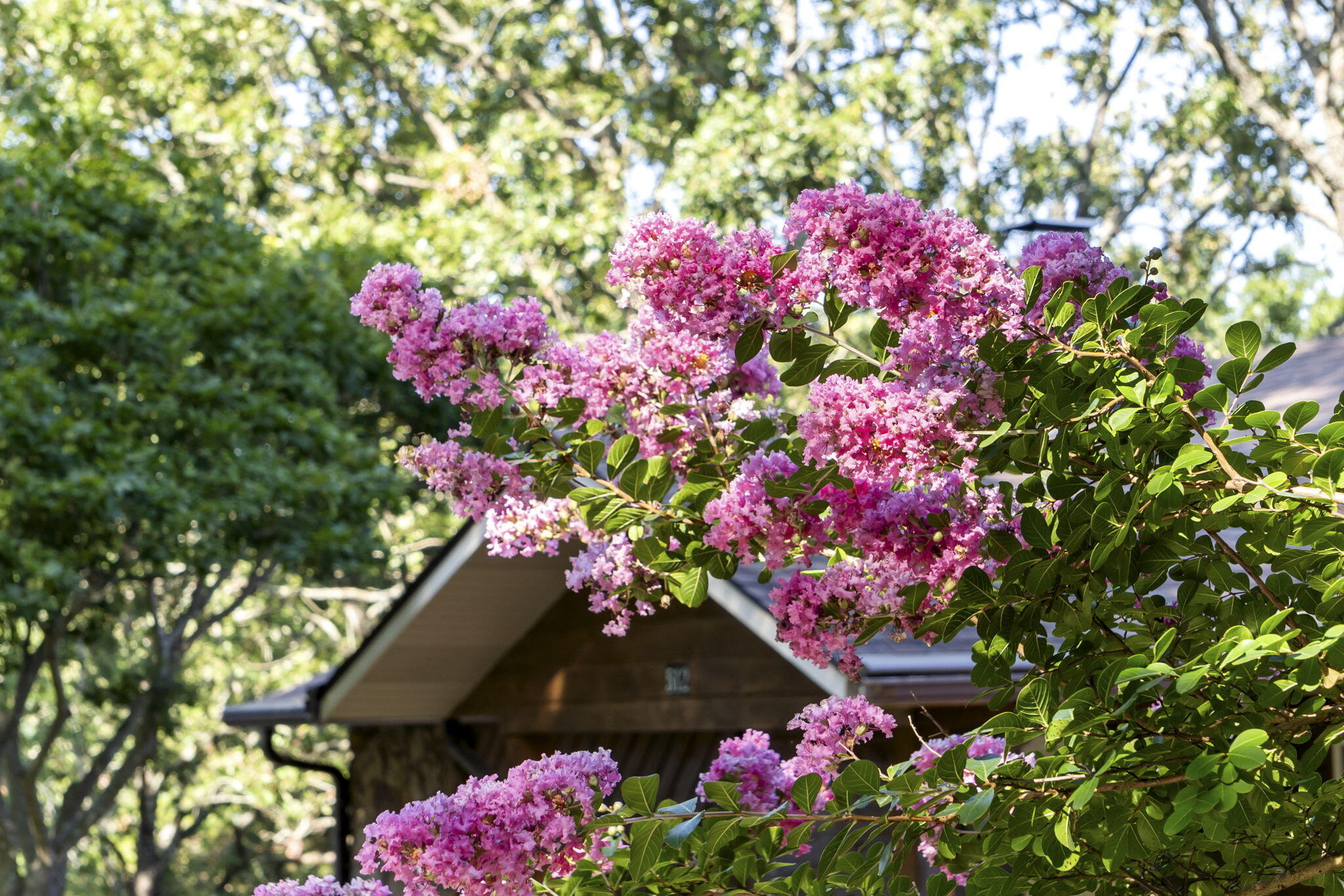 512 Nature Trail Road Property Photo 5