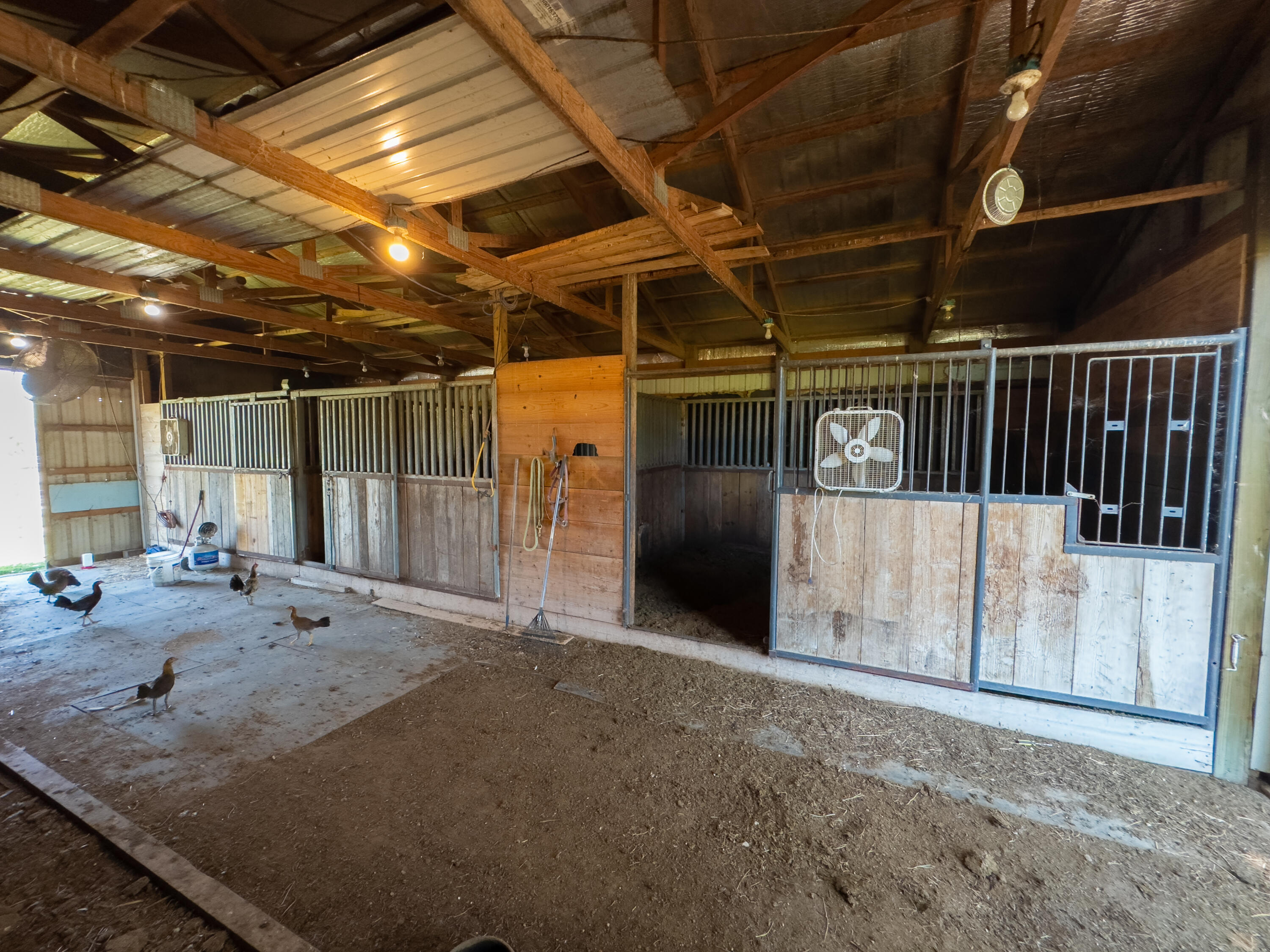 250 Sweetgum Drive Property Photo 18