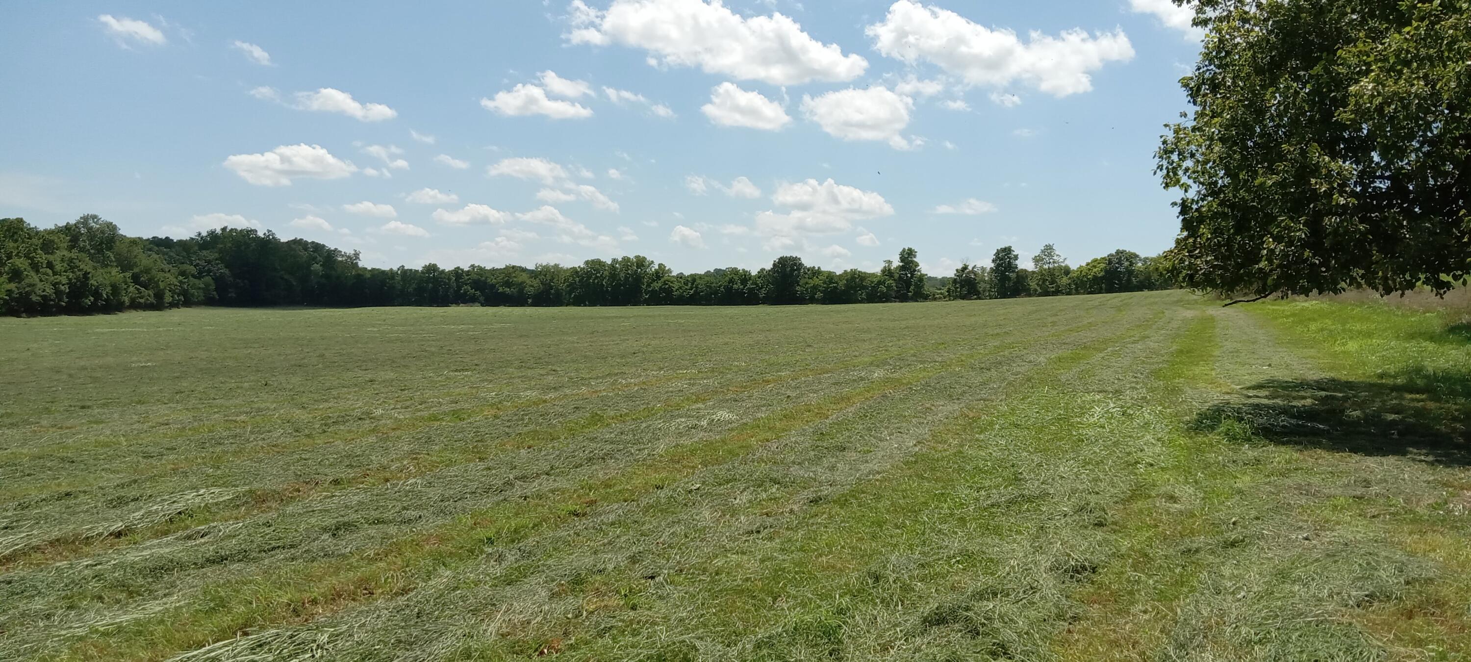 000 5 Cemetery Road Property Photo 6