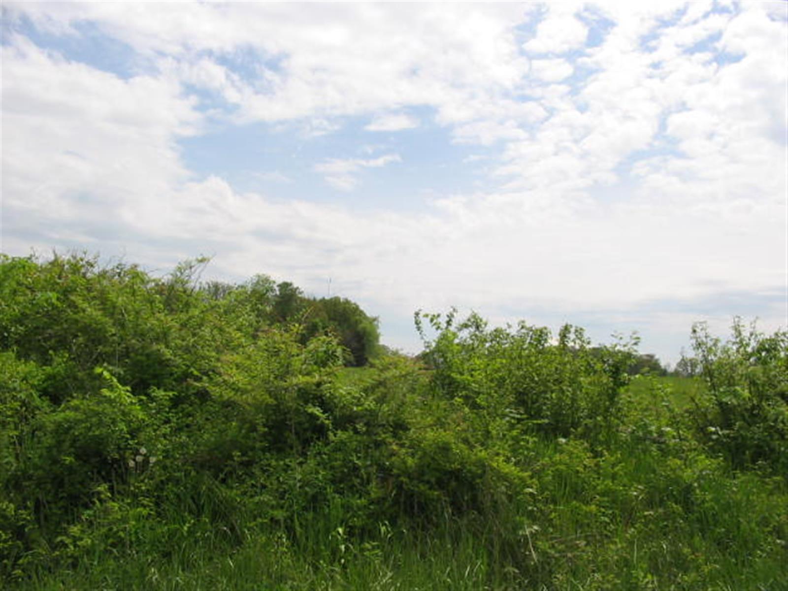 000 South State Highway Ff Road Property Photo 2