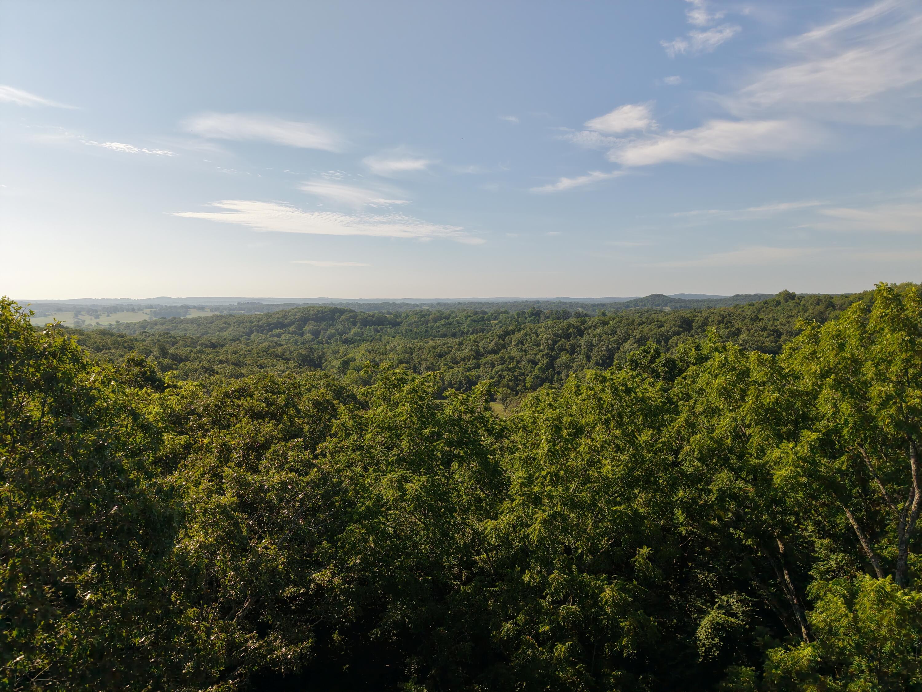 14538 Private Road 3023 Property Photo 23
