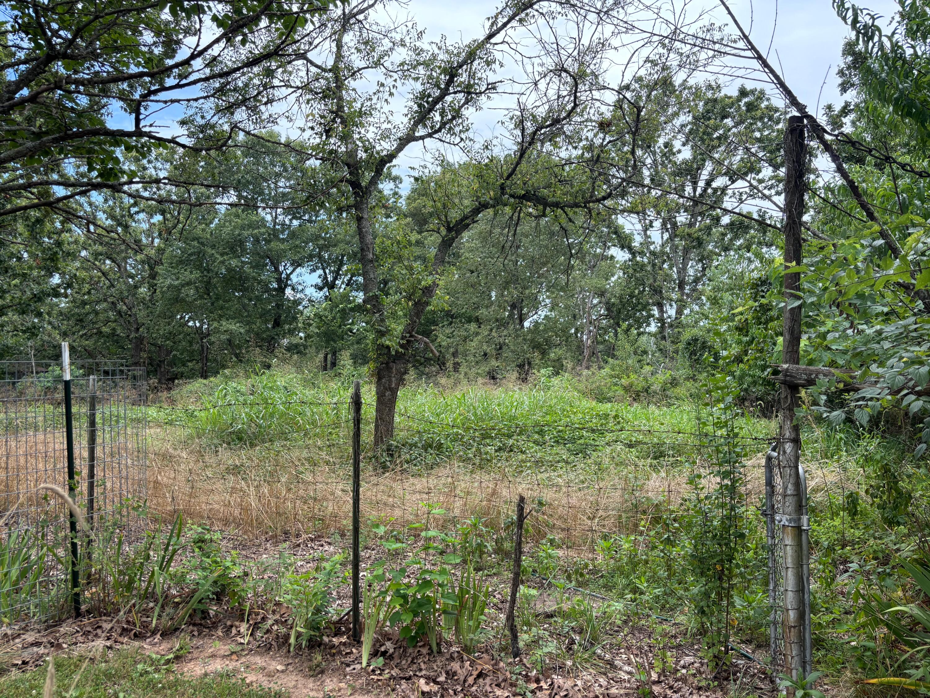 2364 Two Rivers Road Property Photo 29