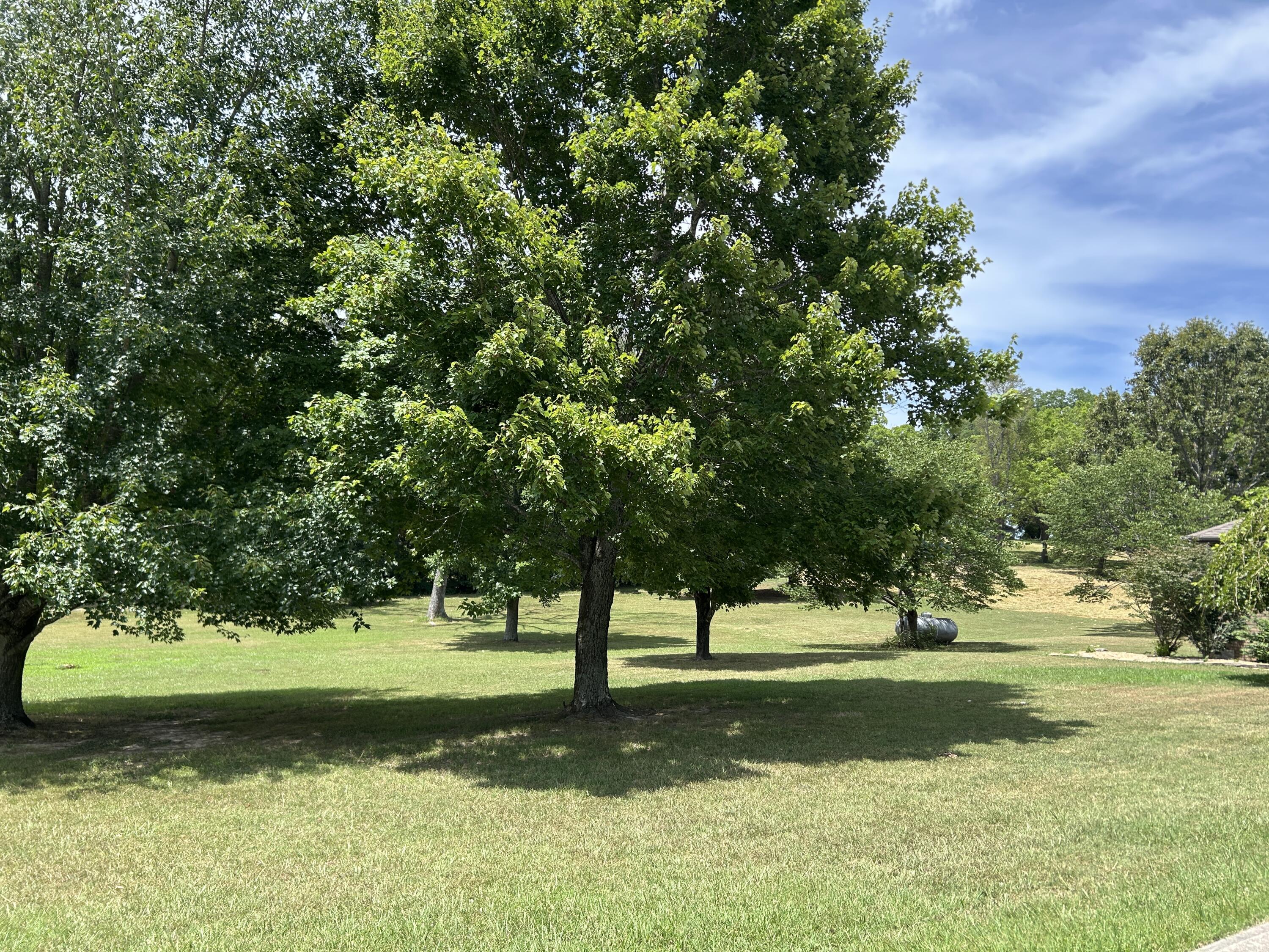 602 Curry Avenue Property Photo 7
