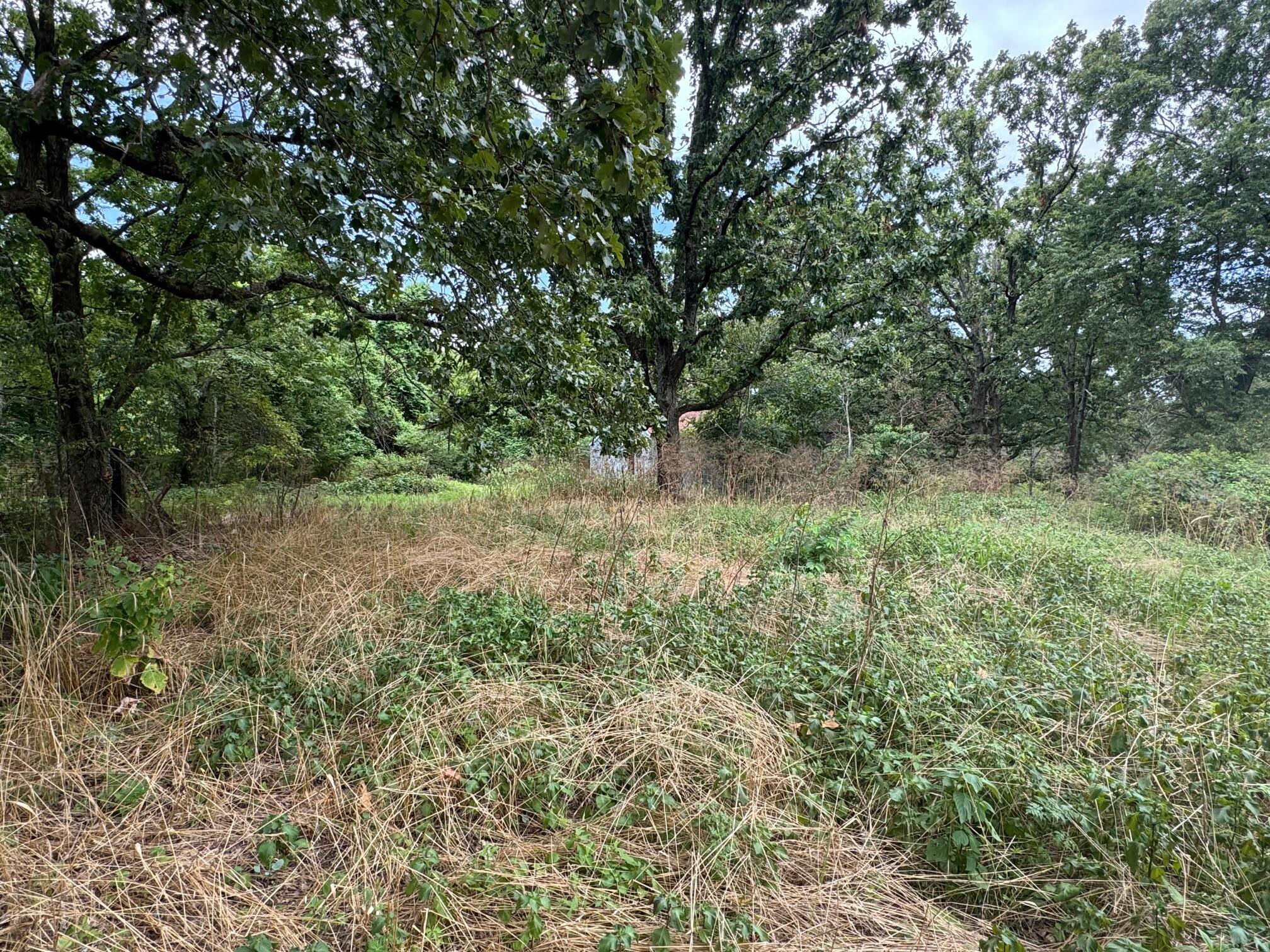 2364 Two Rivers Road Property Photo 31