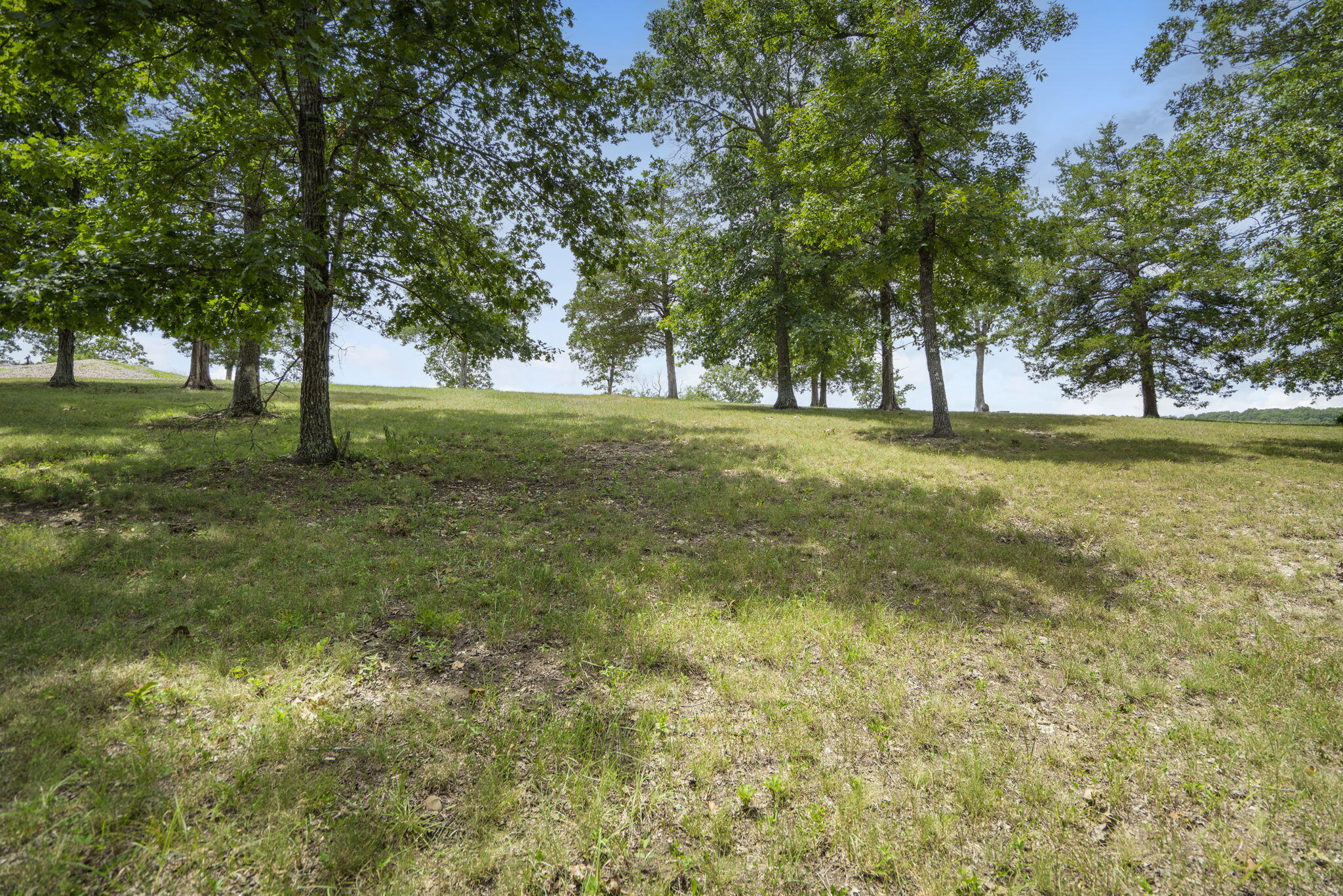 Lot 2 Arabian Way Property Photo 4
