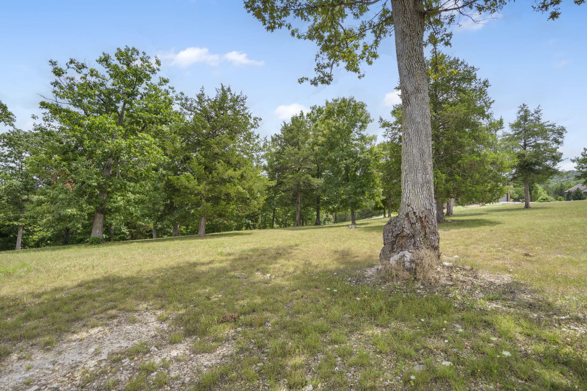 Lot 2 Arabian Way Property Photo 6