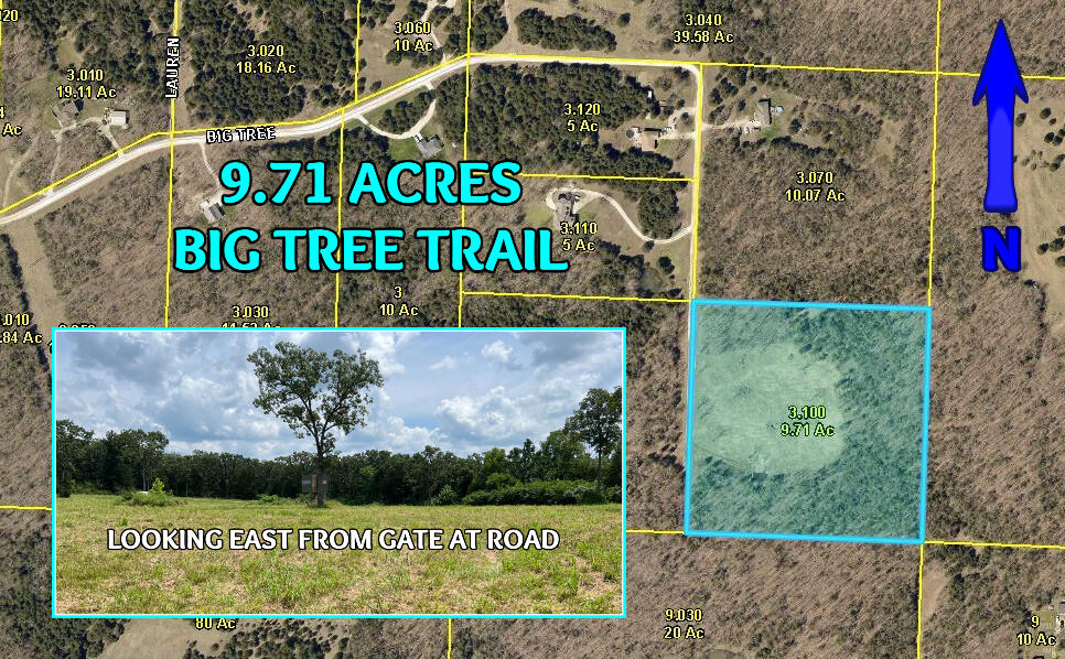 Tbd Big Tree Trail Property Photo 1