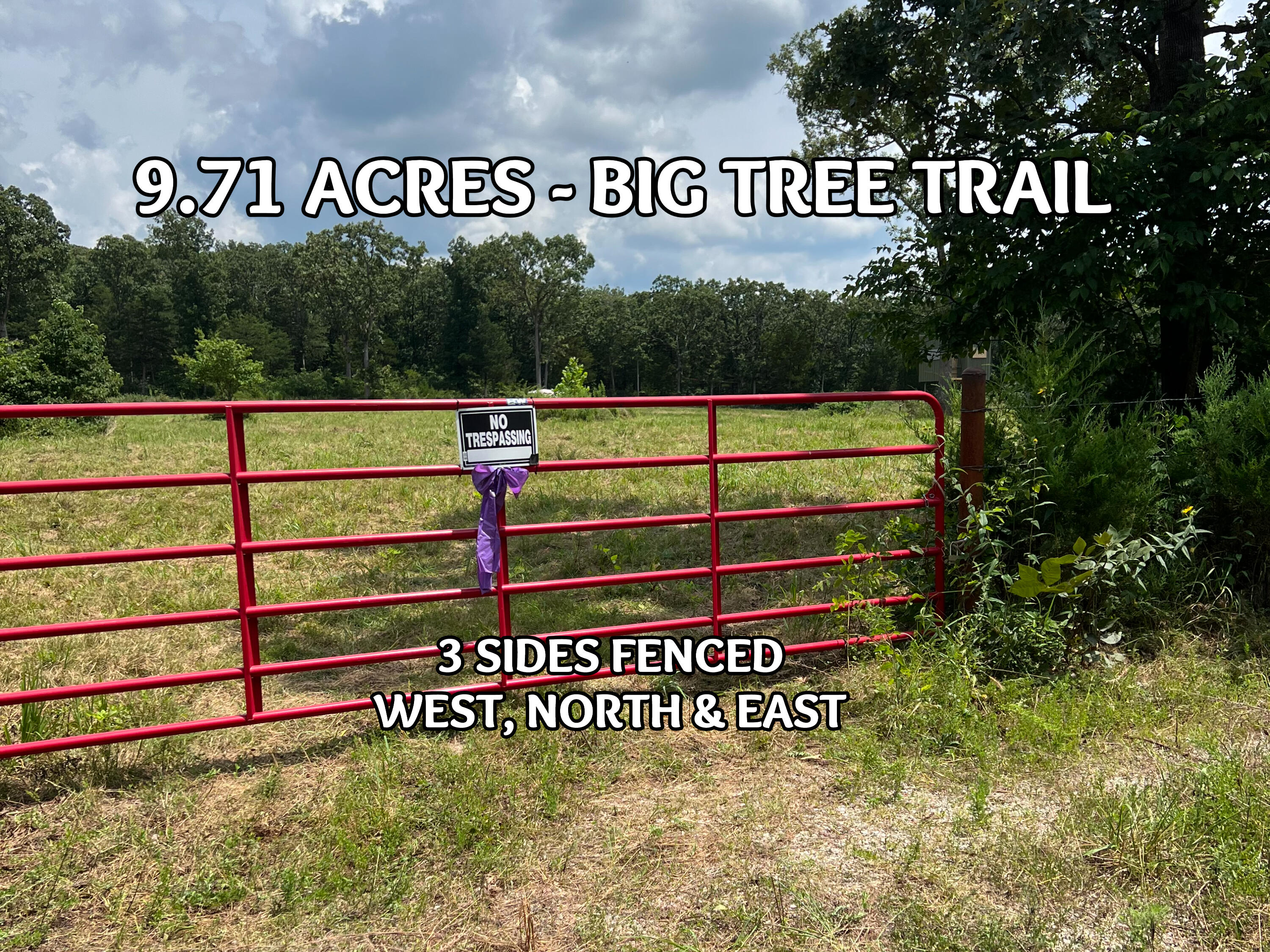 Tbd Big Tree Trail Property Photo 3