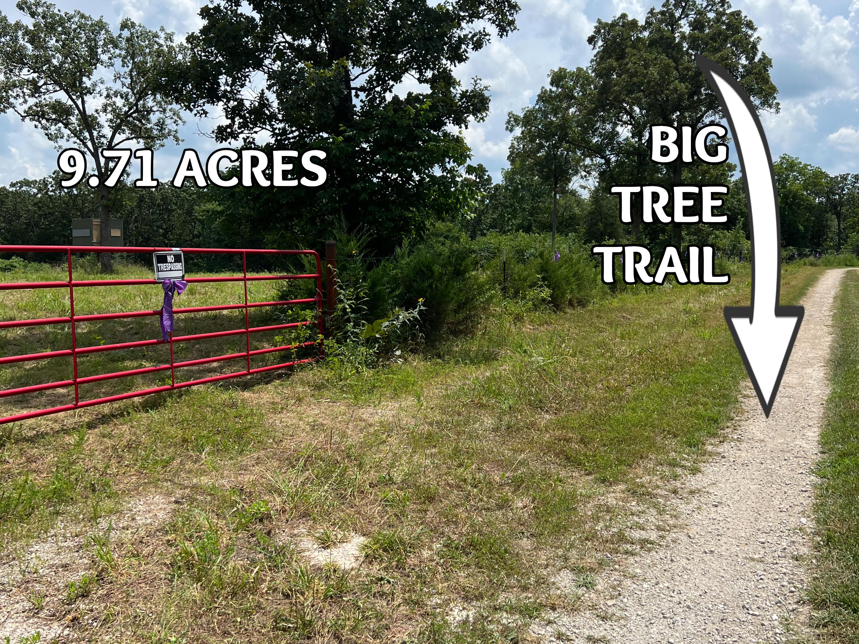Tbd Big Tree Trail Property Photo 4