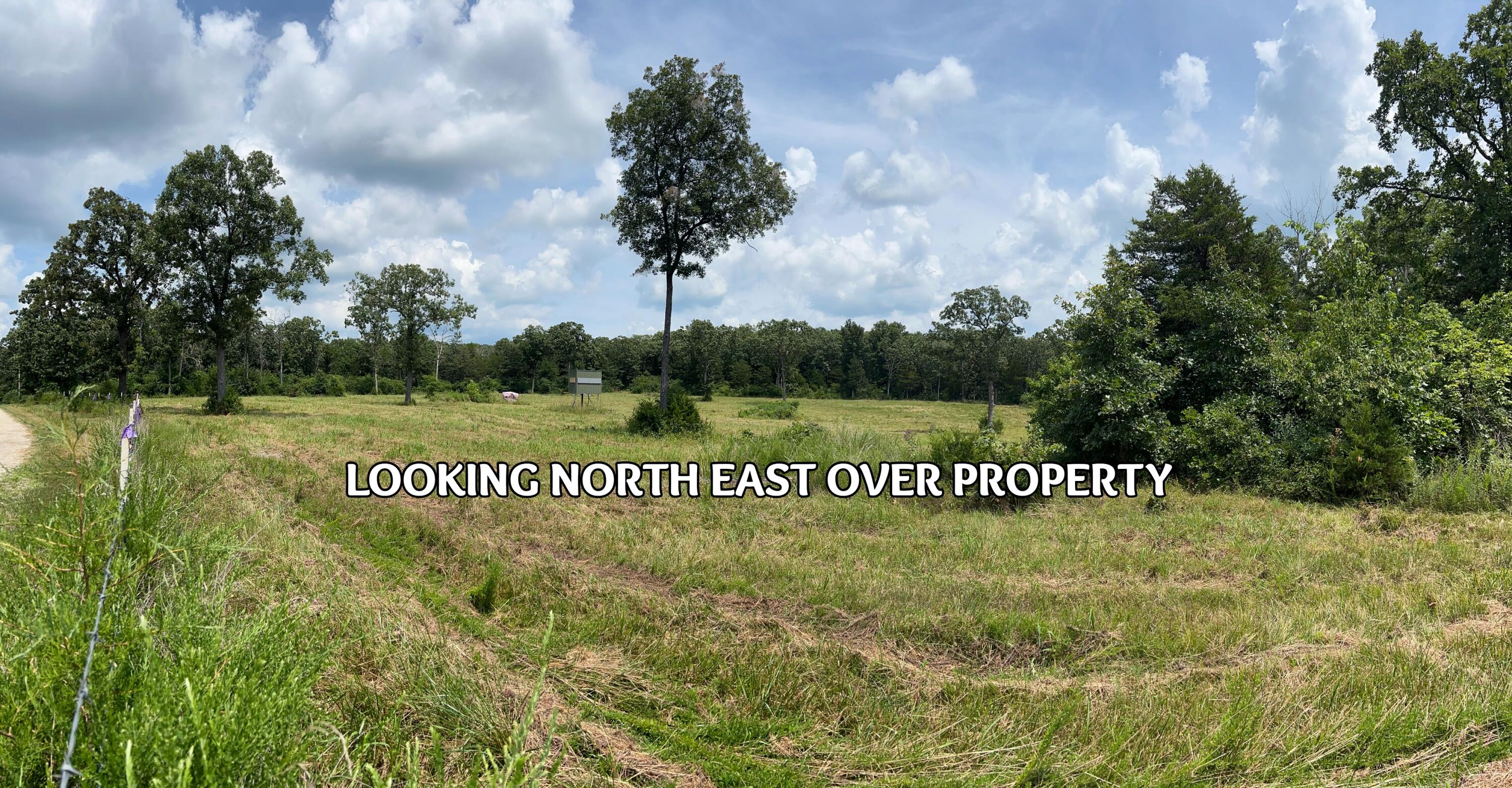 Tbd Big Tree Trail Property Photo 5