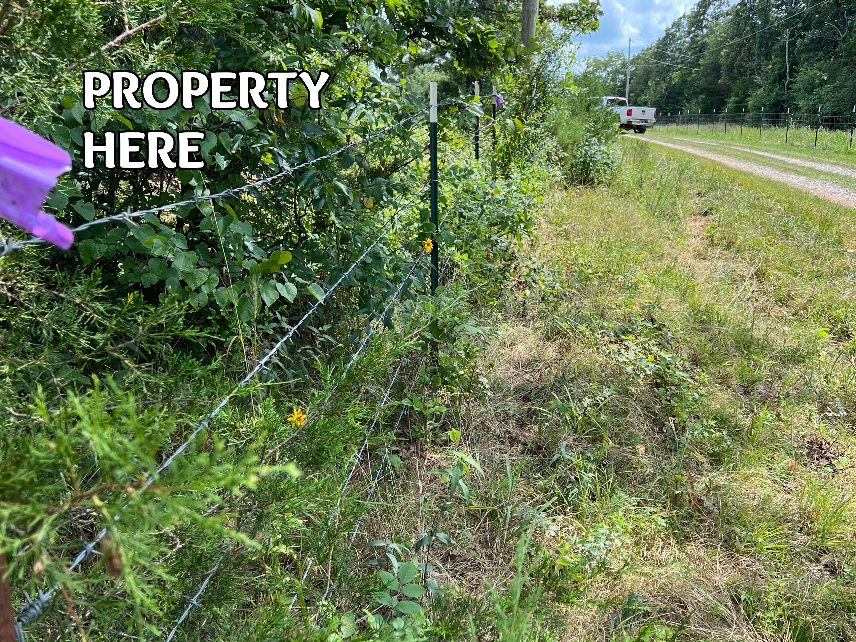 Tbd Big Tree Trail Property Photo 6