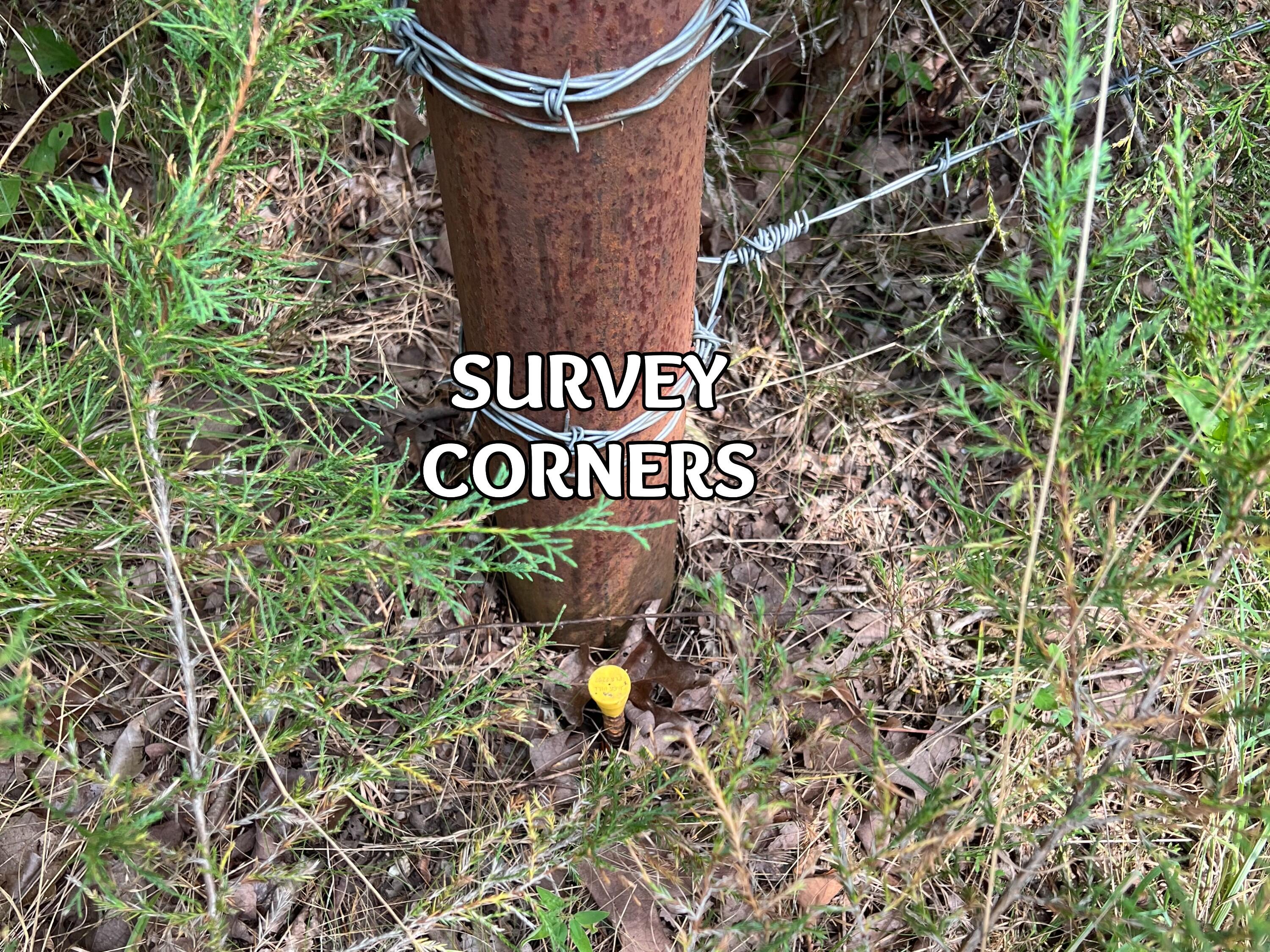 Tbd Big Tree Trail Property Photo 7