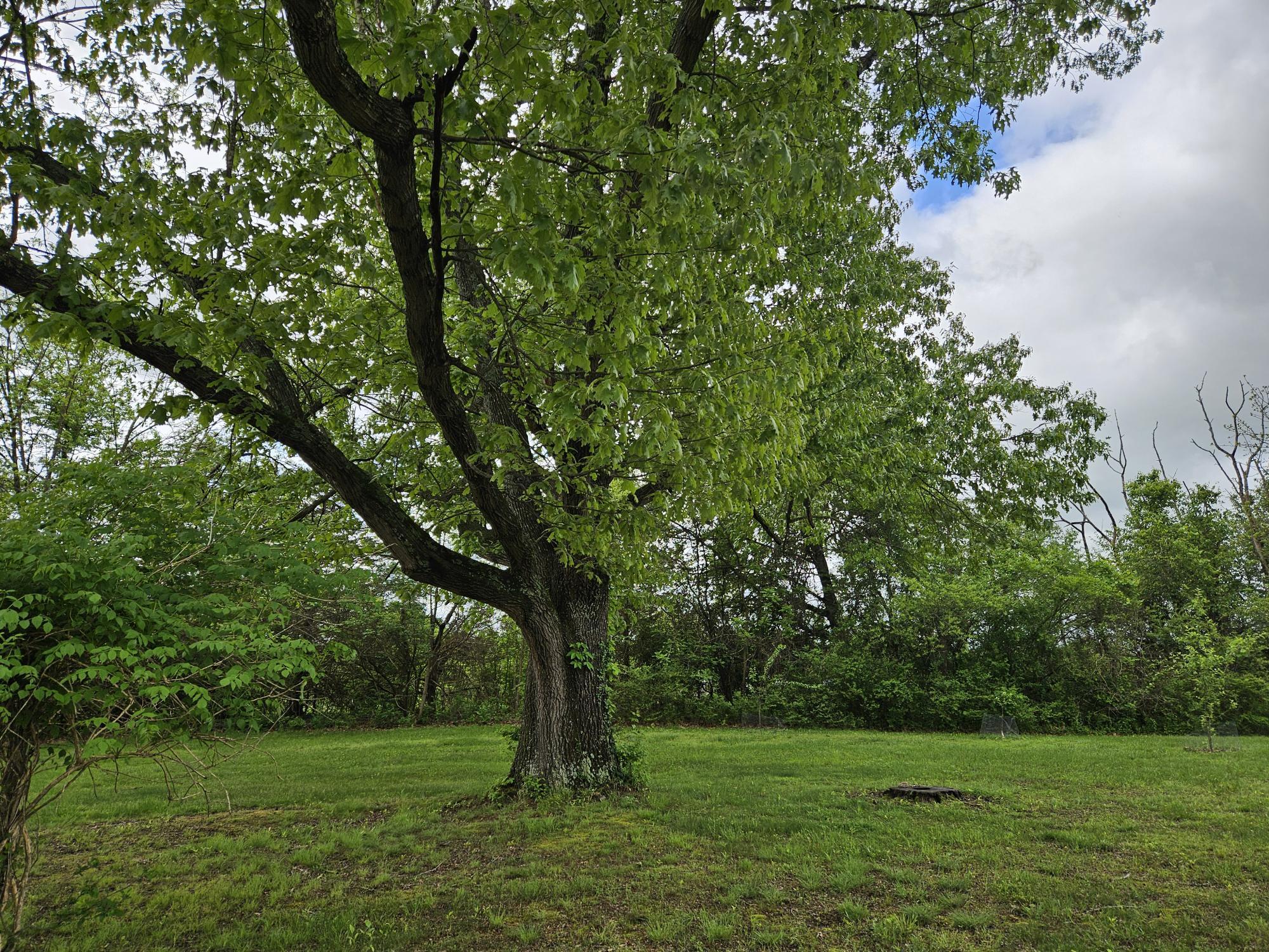 1100 County Road 8270 Property Photo 65