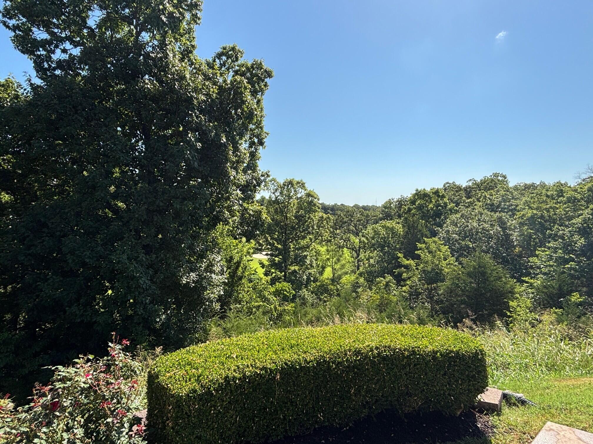 128 Pebble Beach Drive Property Photo 35