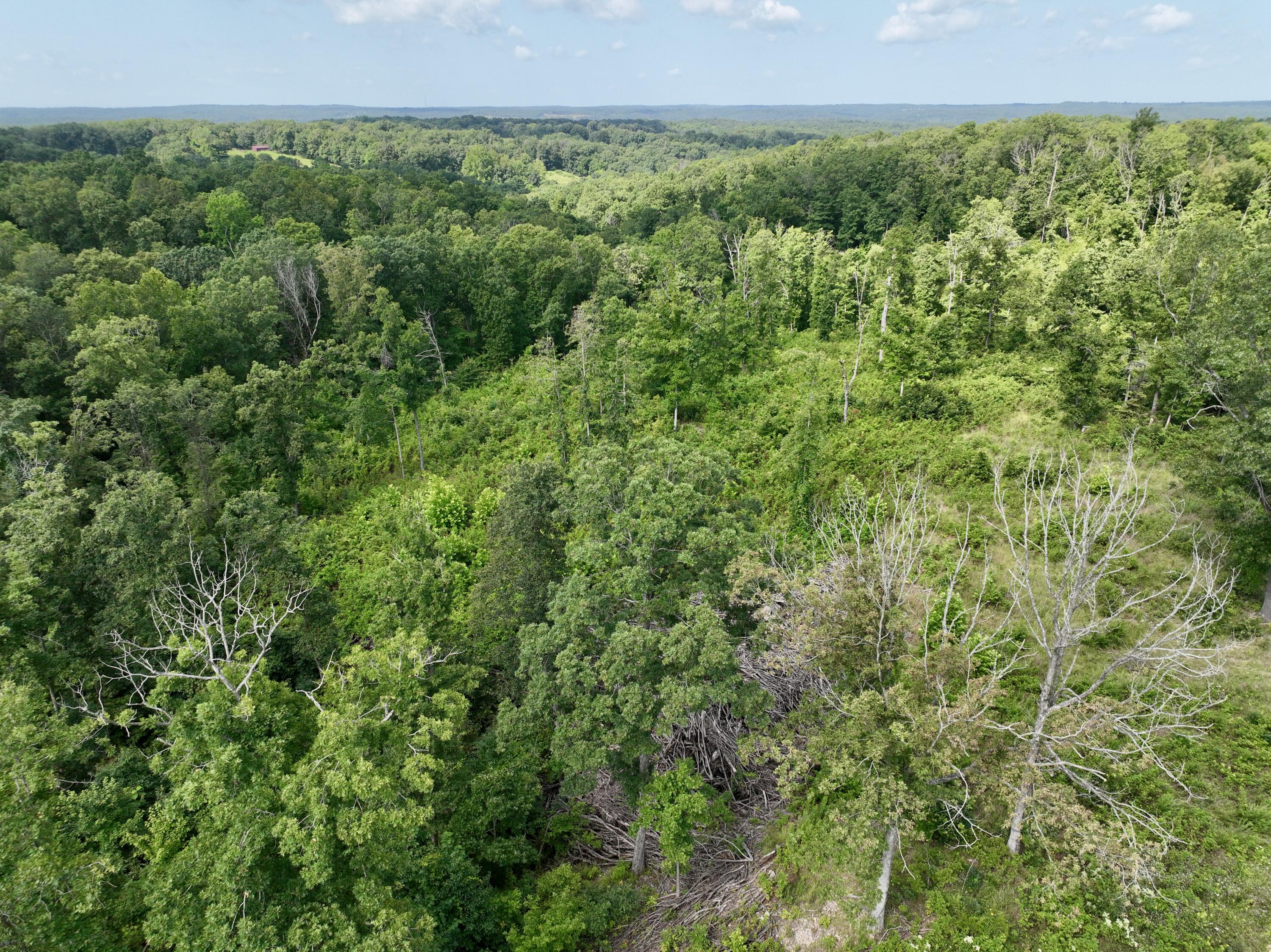 000 Songbird Road Property Photo 1