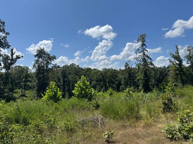 000 Songbird Road Property Photo 2