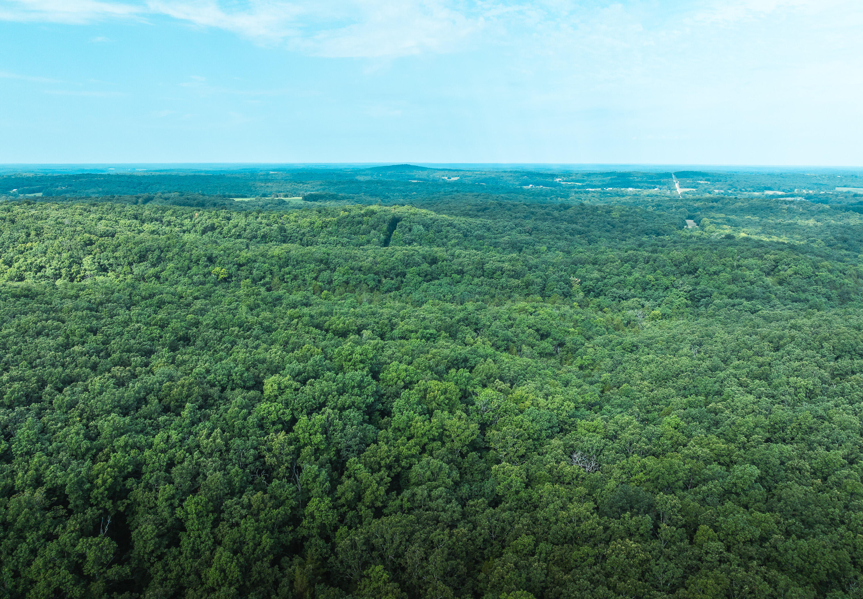 18119 State Route O Property Photo 30
