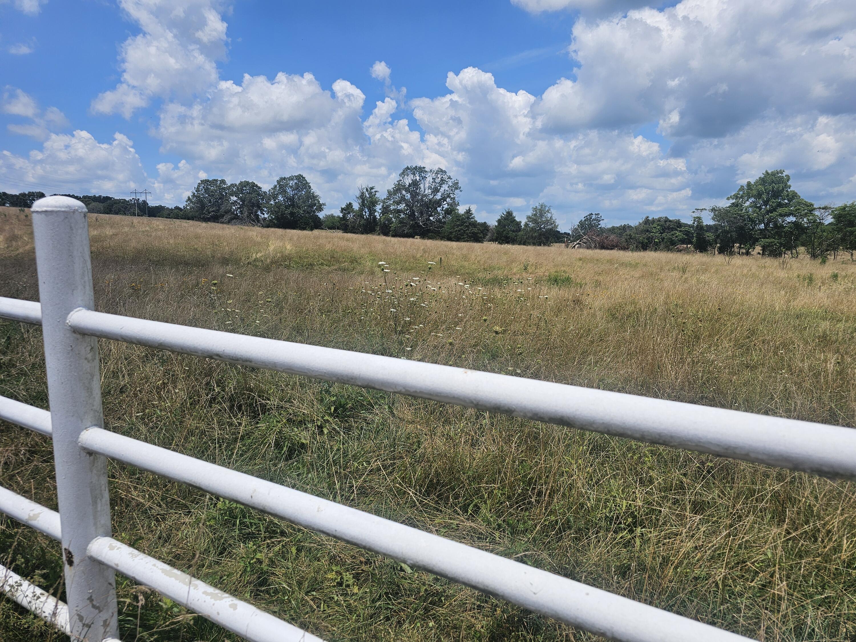 000 Farm Road 1220 Property Photo 8