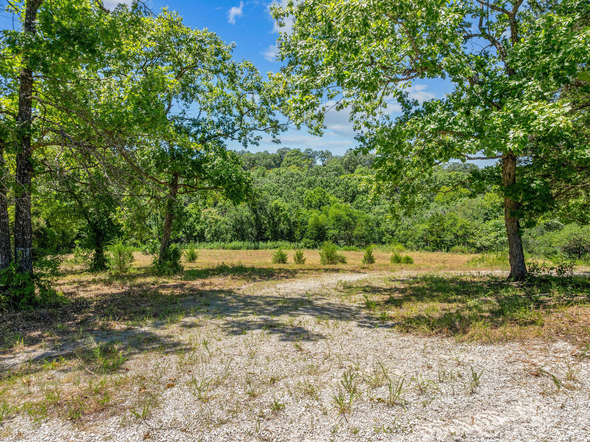 000 State Highway 248 Property Photo 7