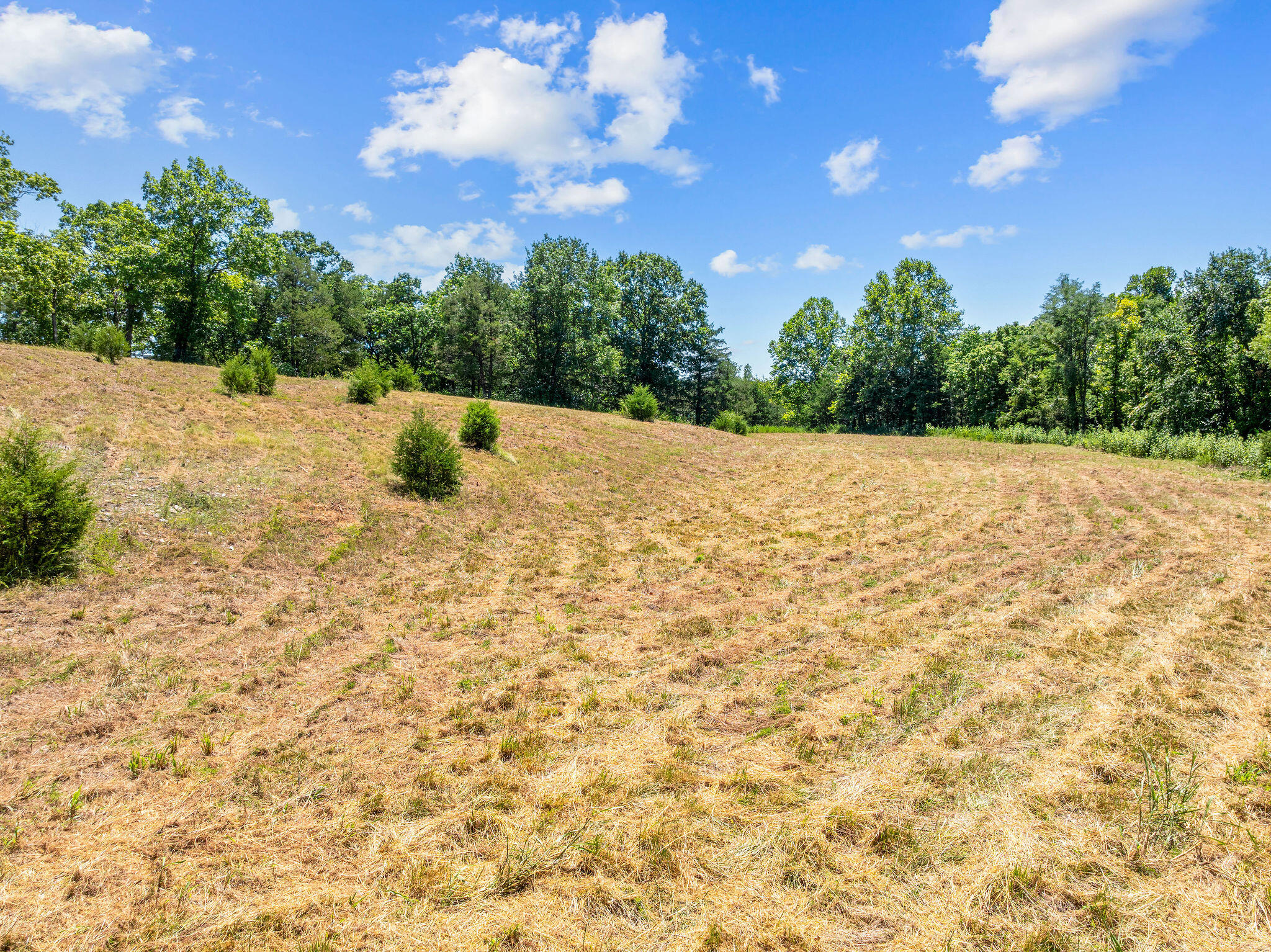 000 State Highway 248 Property Photo 11