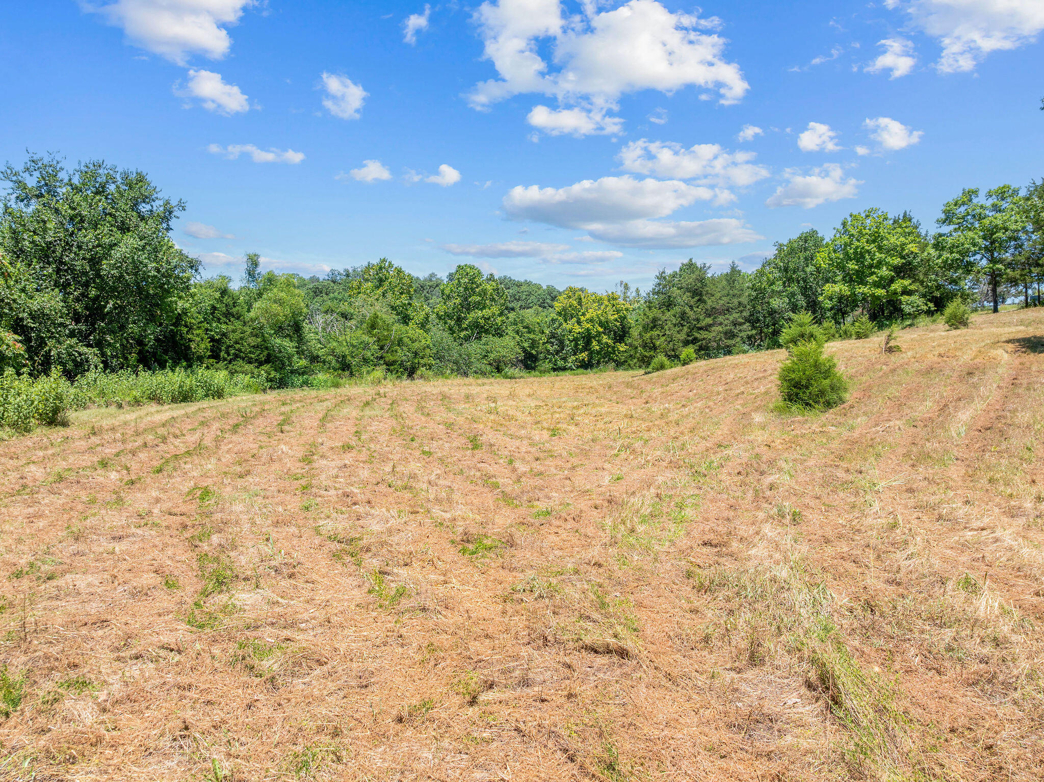 000 State Highway 248 Property Photo 12