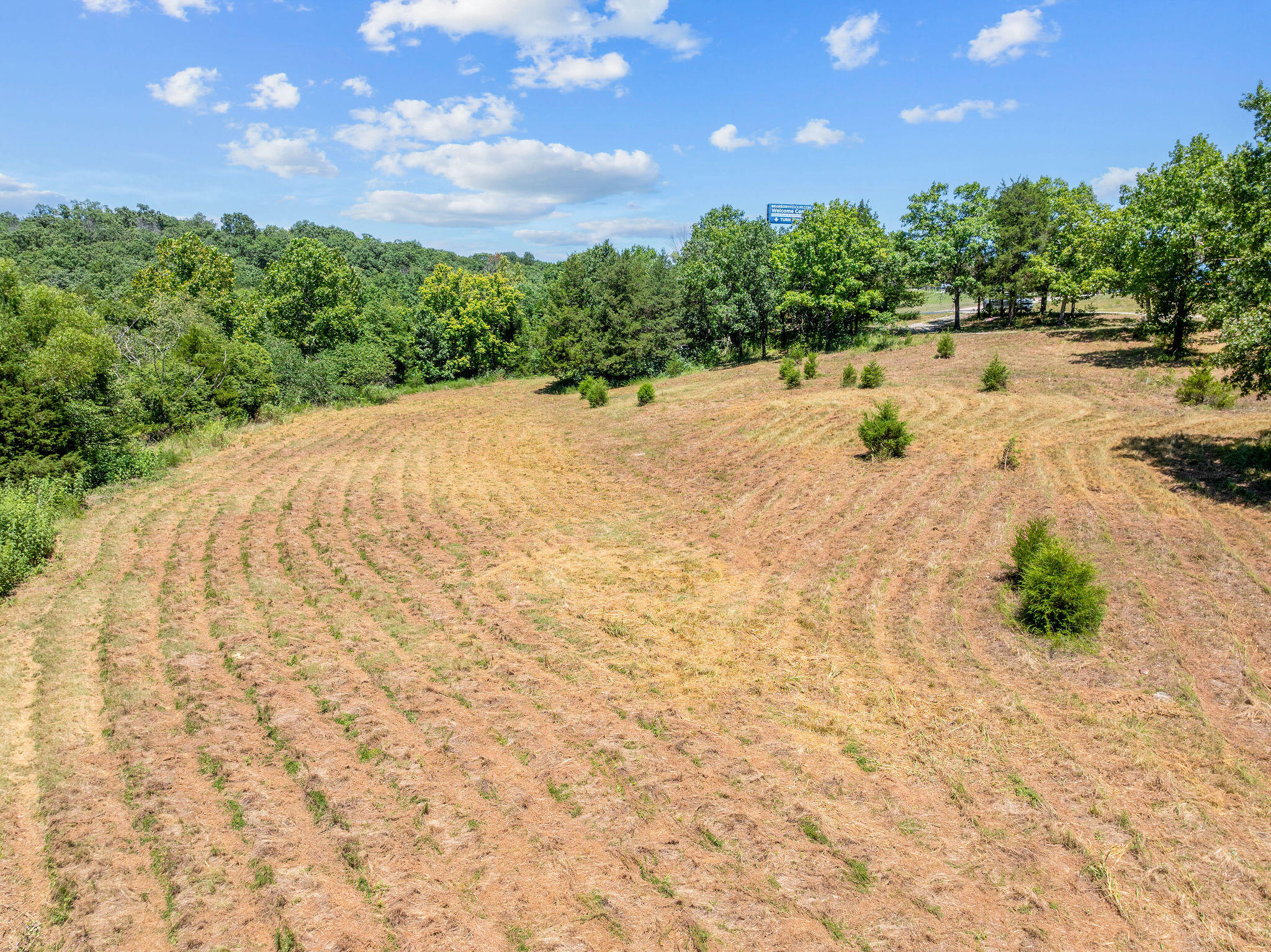 000 State Highway 248 Property Photo 13
