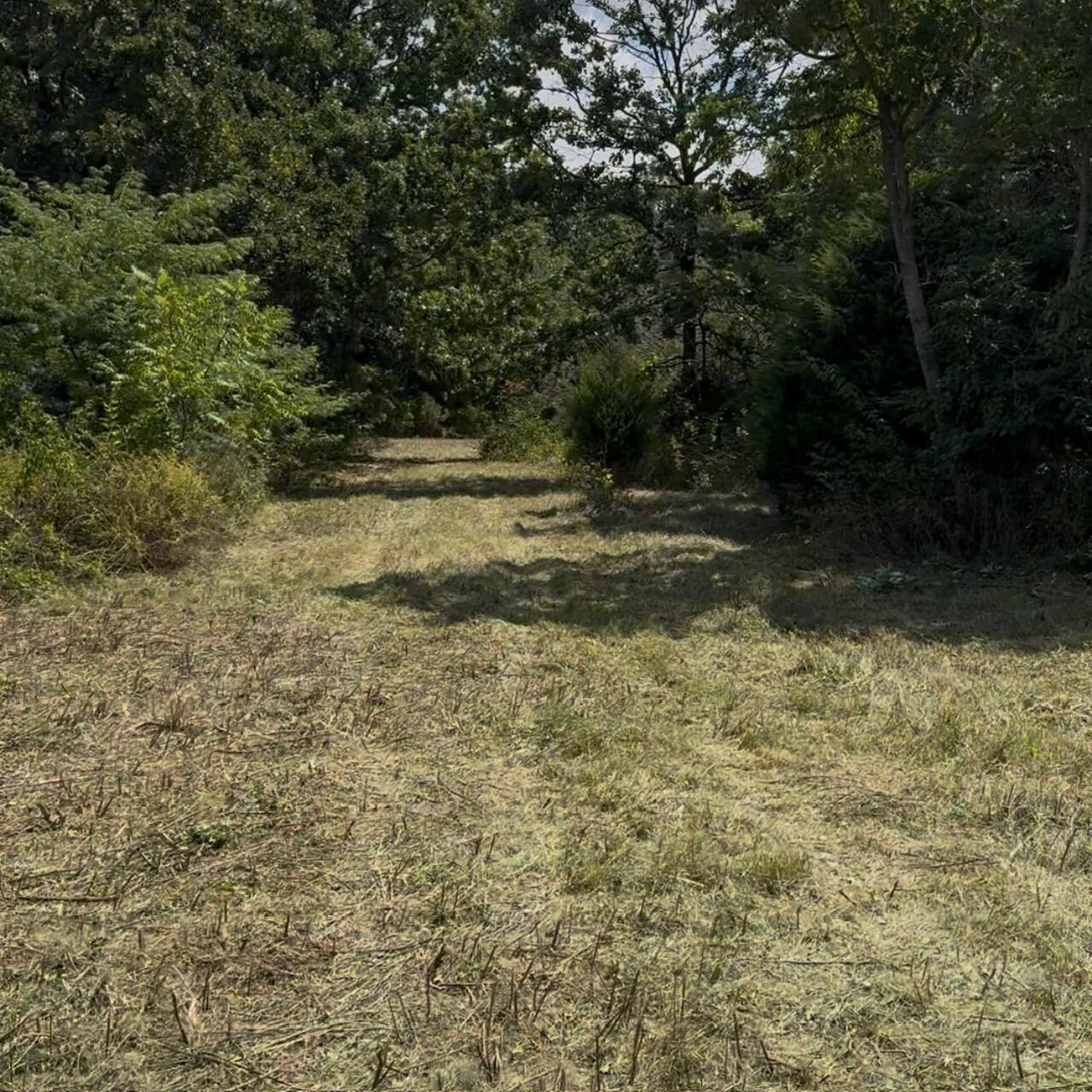 000 Farm Road 1130 Property Photo 1