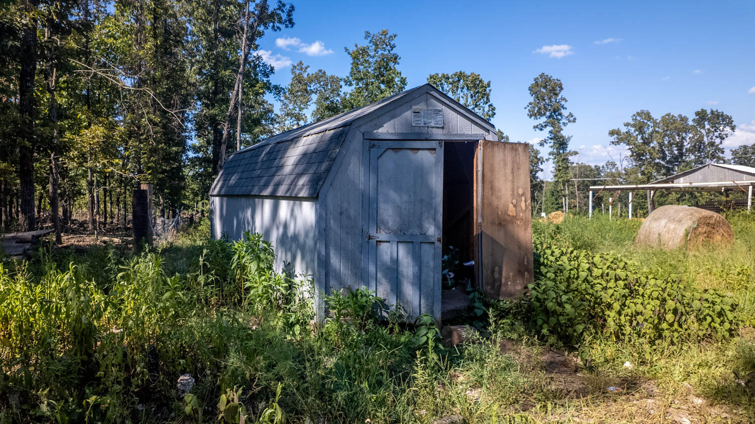 645 County Road 201 Property Photo 34