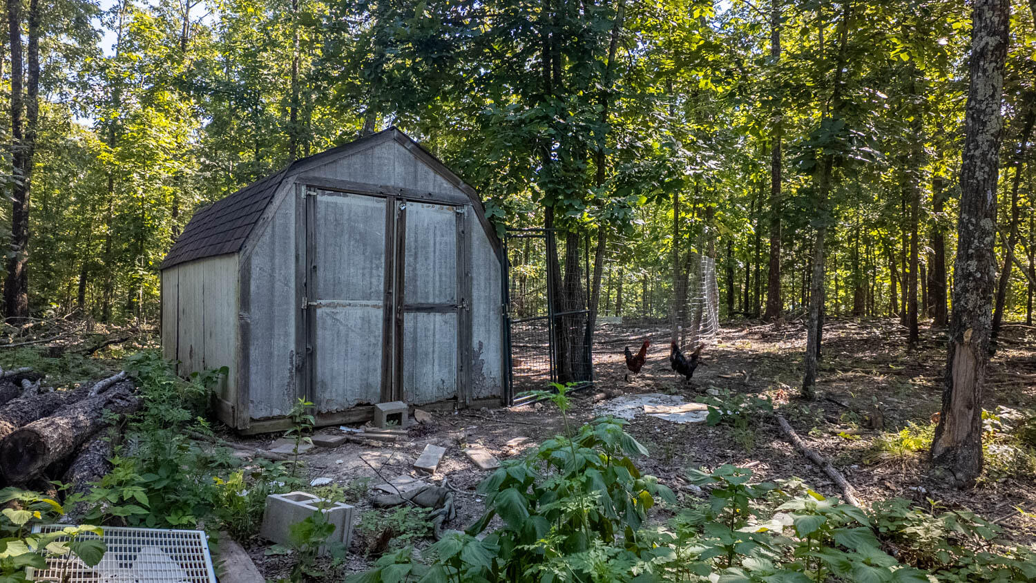 645 County Road 201 Property Photo 44