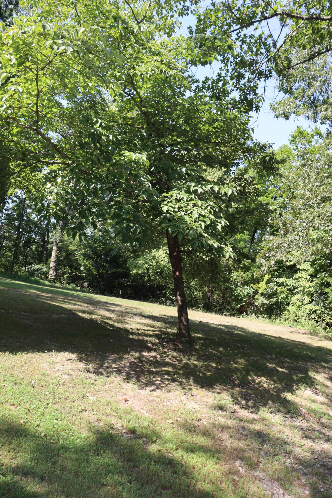 10344 Dogwood Road Property Photo 18