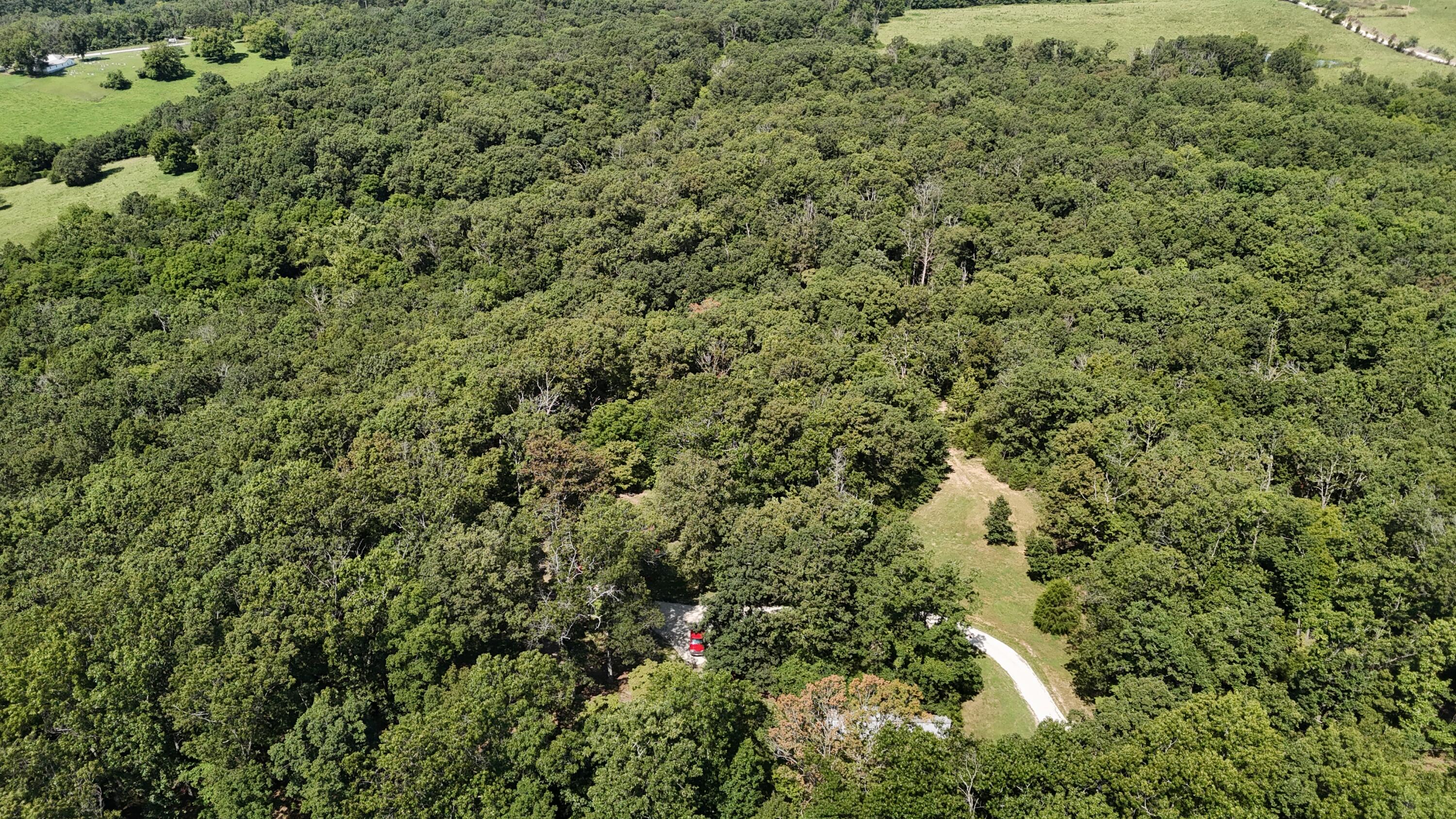 10344 Dogwood Road Property Photo 20