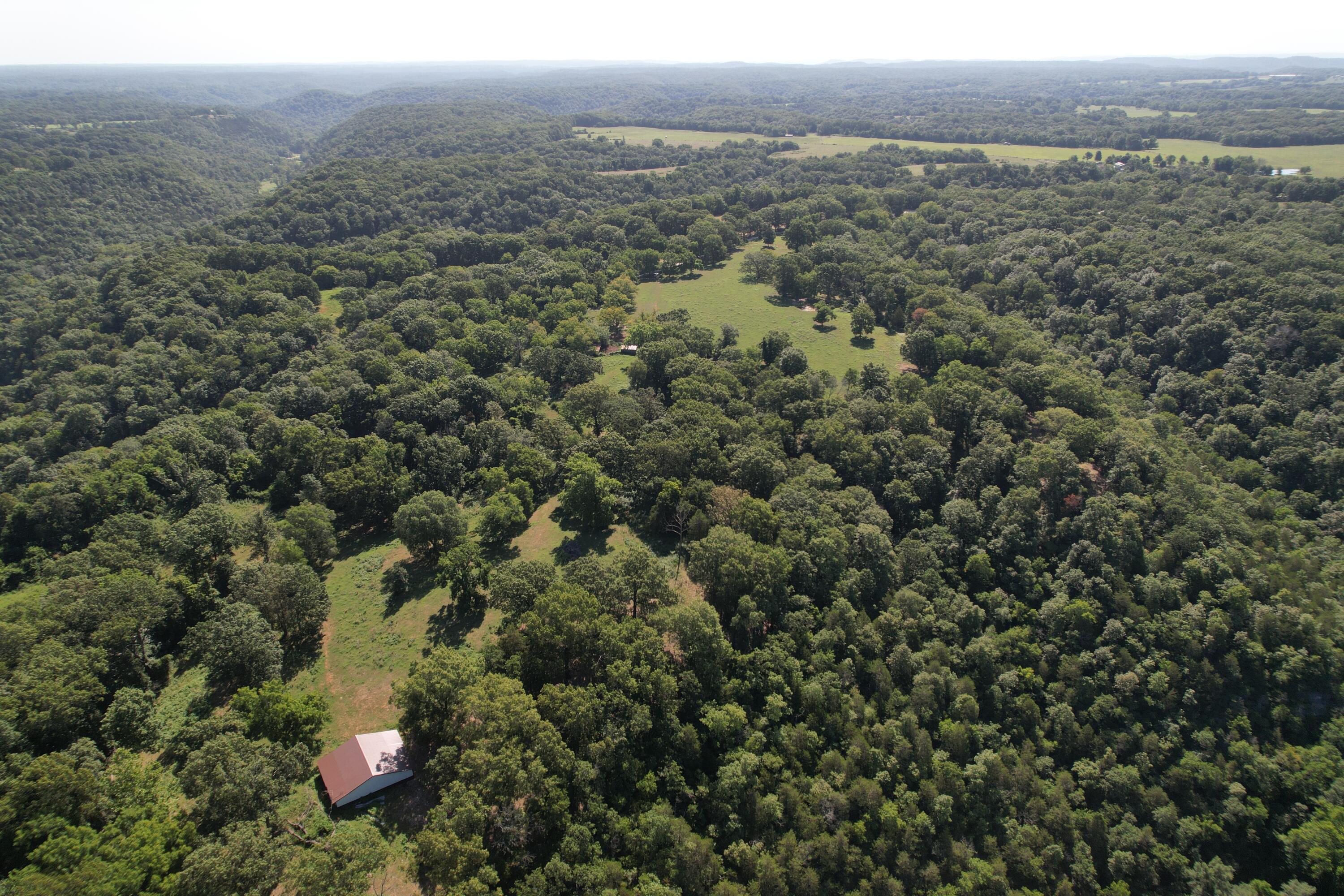 Tract 1 0000 Farm Road 1085 Property Photo 6