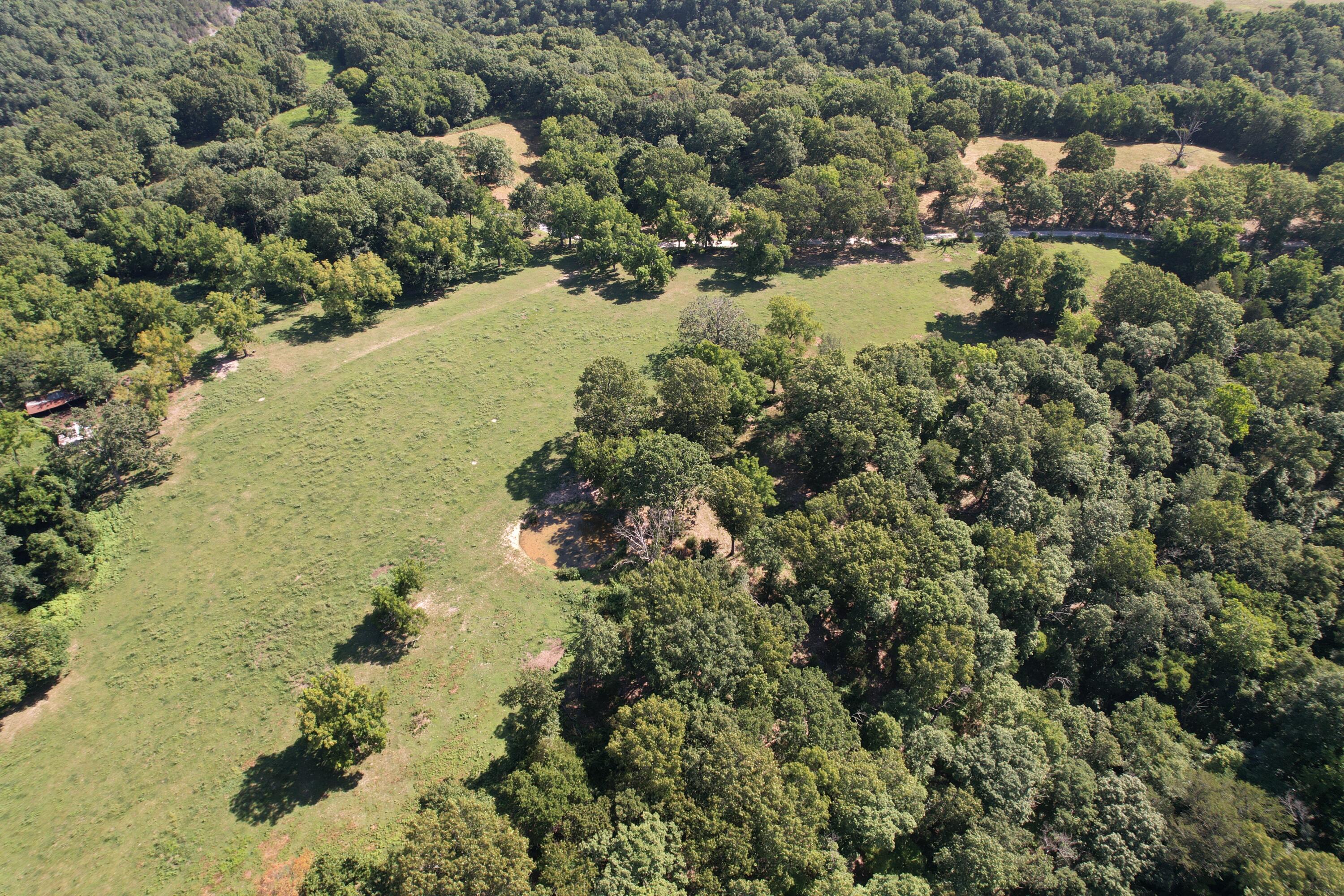 Tract 1 0000 Farm Road 1085 Property Photo 8