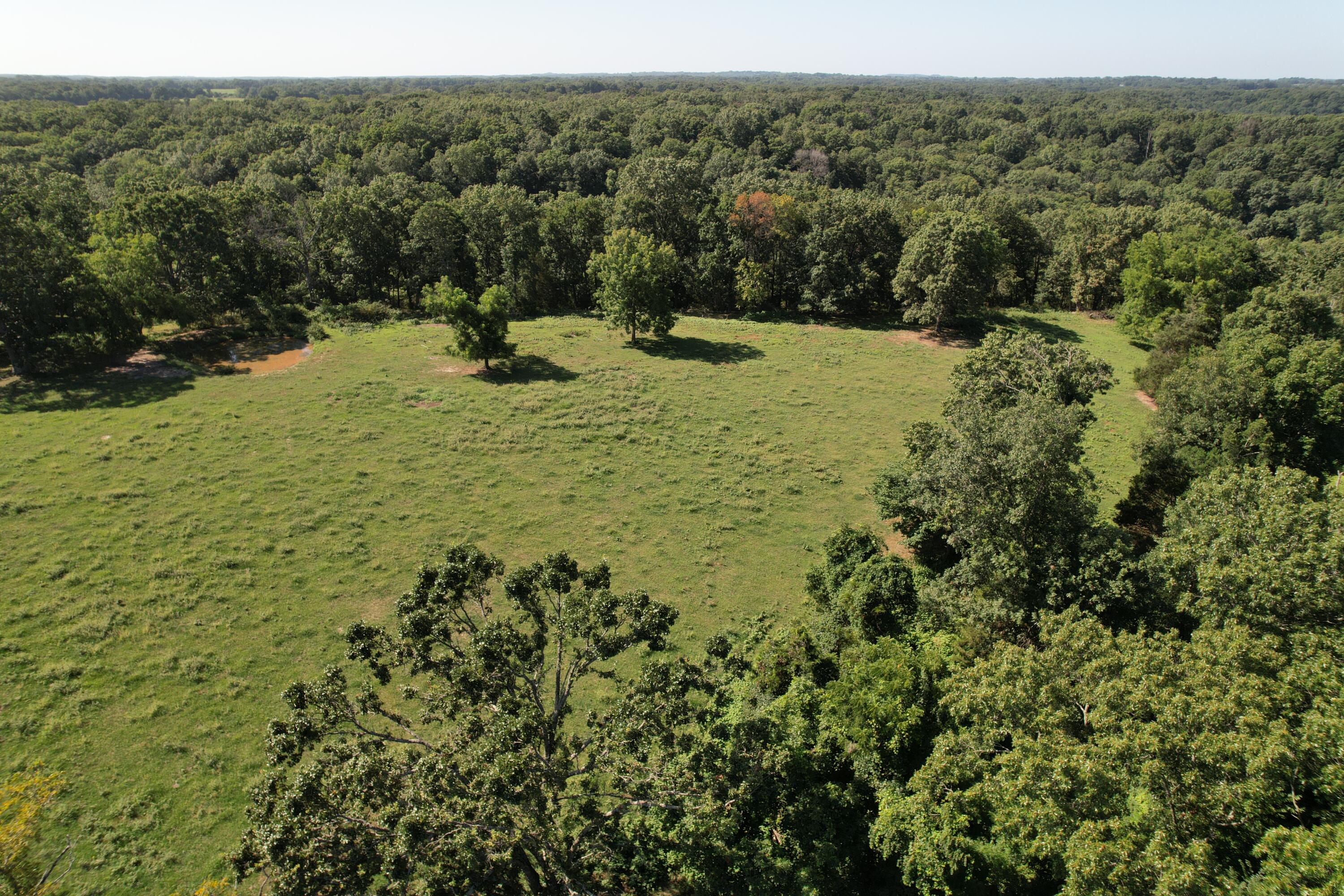 Tract 1 0000 Farm Road 1085 Property Photo 10