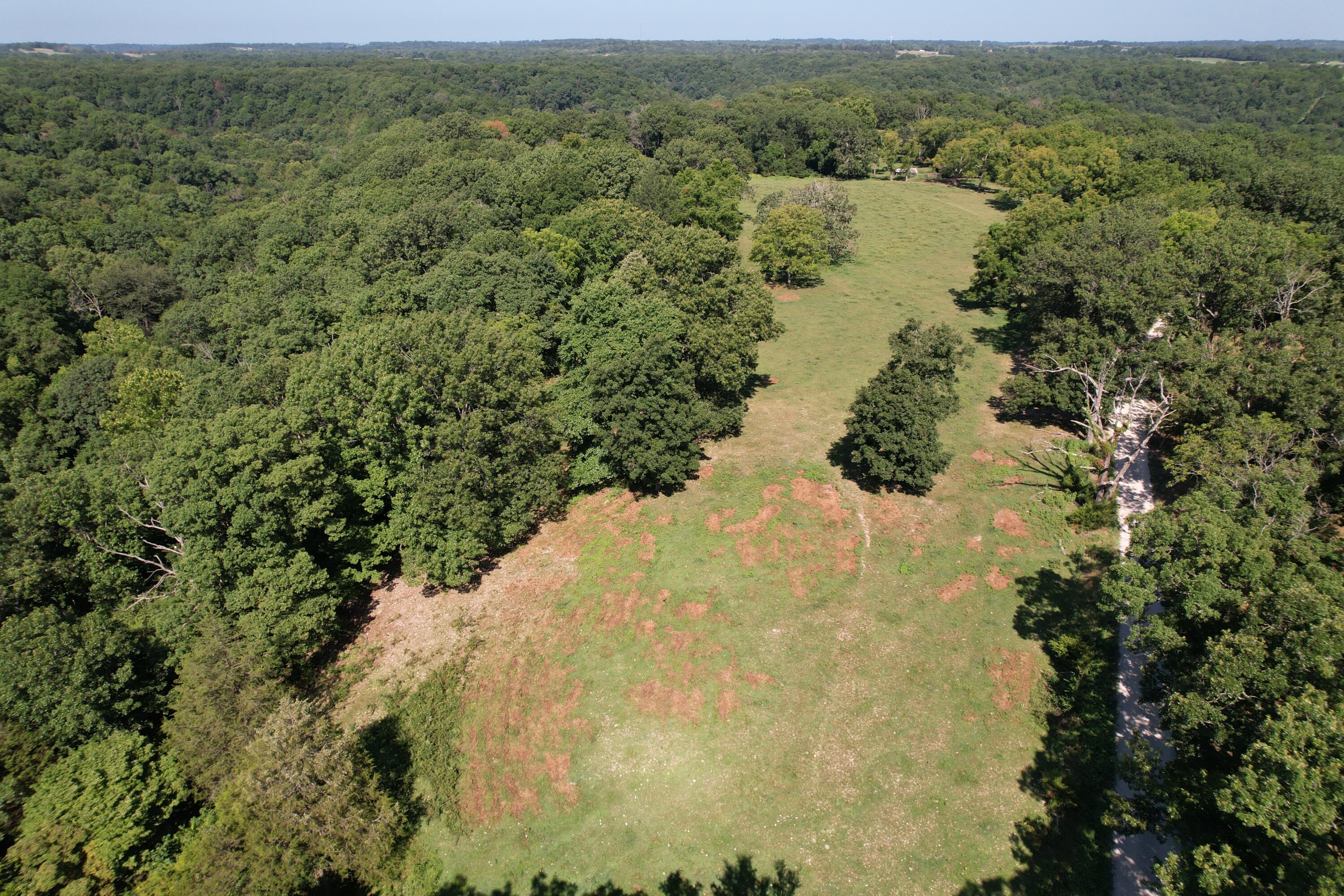 Tract 1 0000 Farm Road 1085 Property Photo 11