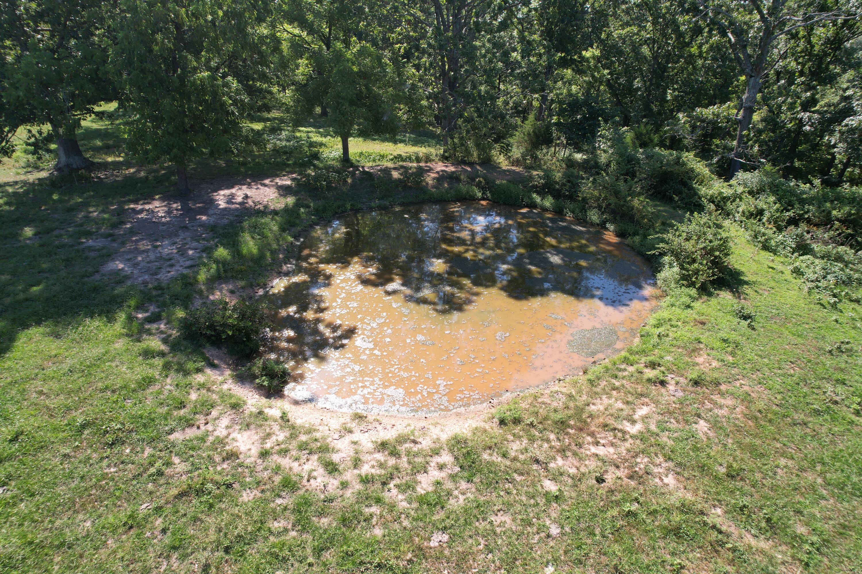 Tract 1 0000 Farm Road 1085 Property Photo 14