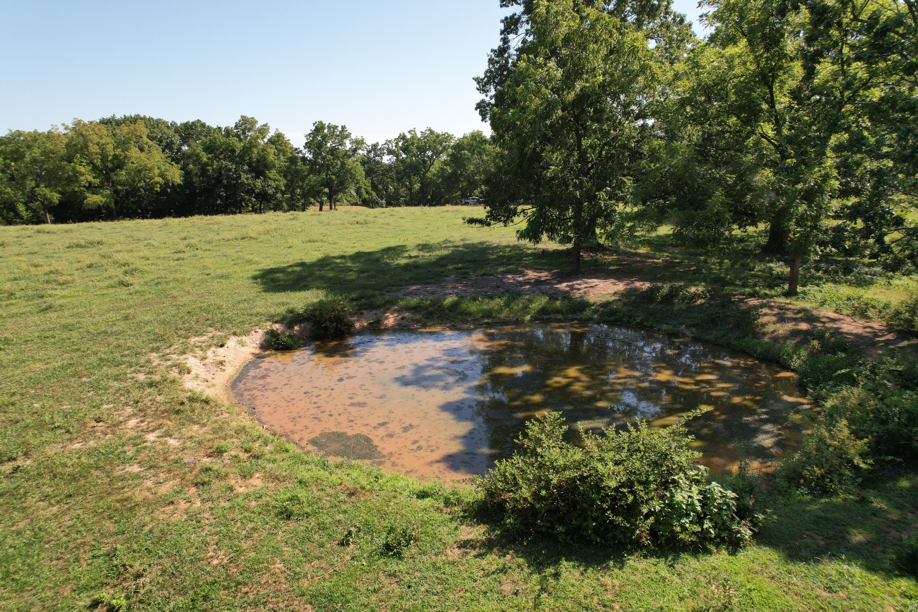 Tract 1 0000 Farm Road 1085 Property Photo 15