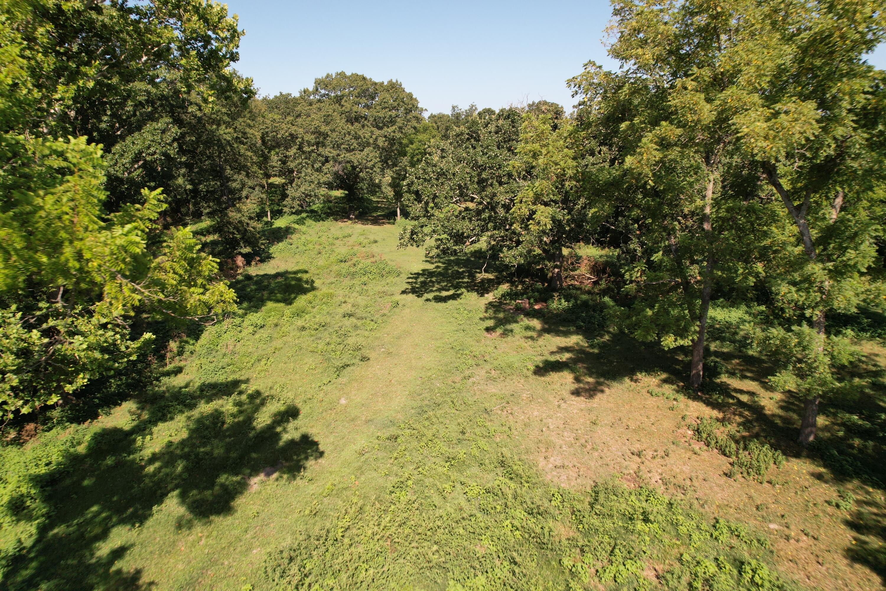 Tract 1 0000 Farm Road 1085 Property Photo 17
