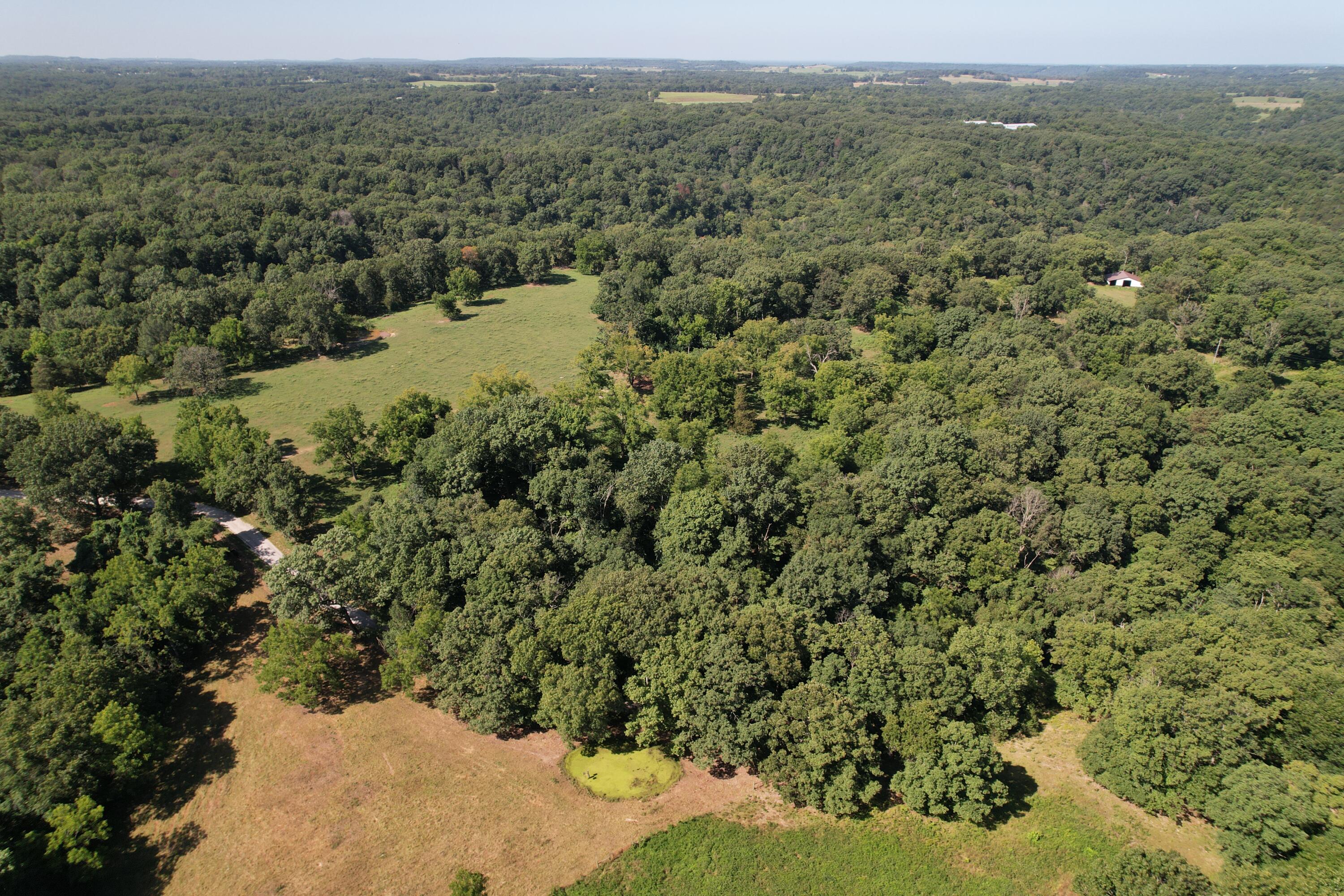 Tract 1 0000 Farm Road 1085 Property Photo 22