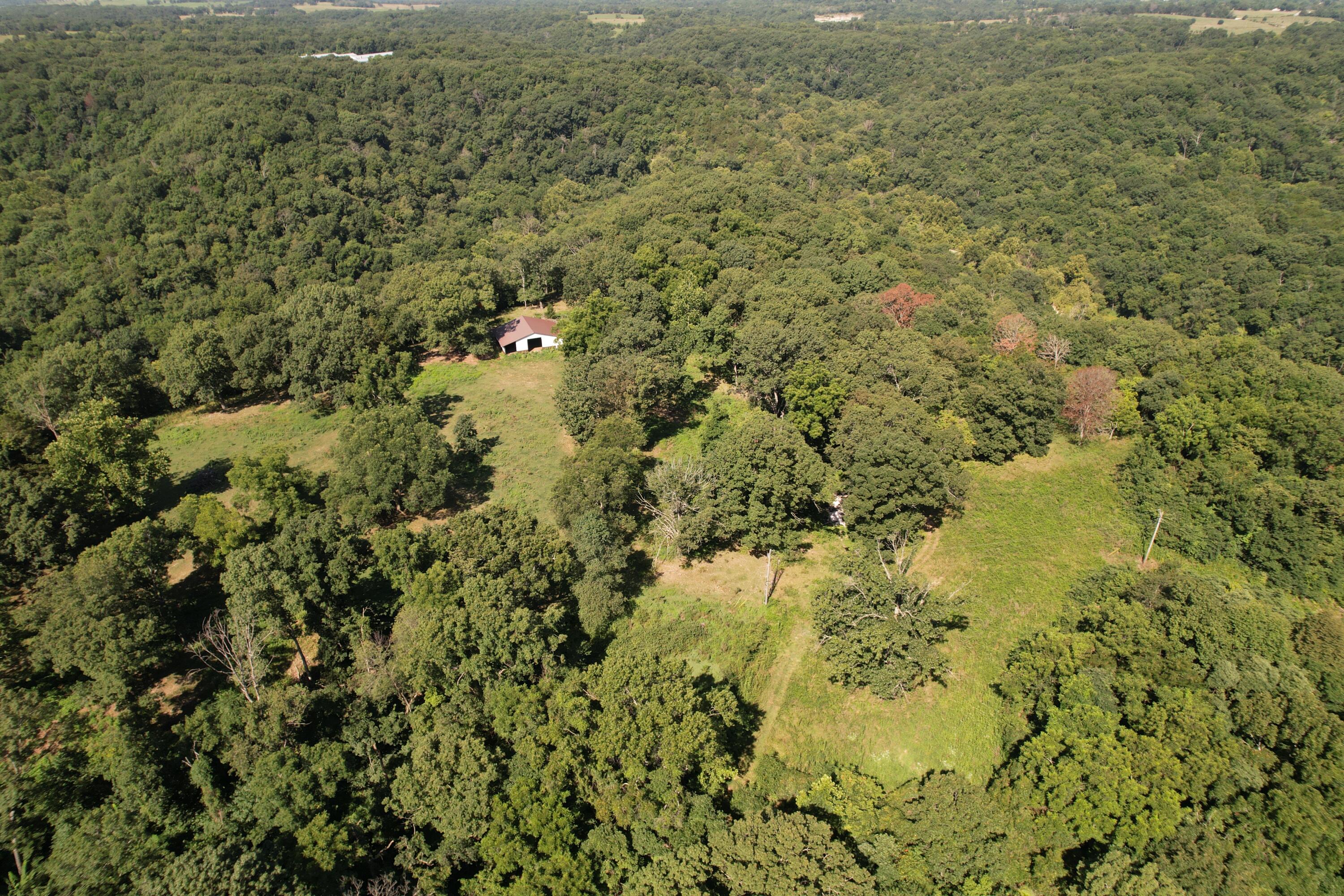 Tract 1 0000 Farm Road 1085 Property Photo 24