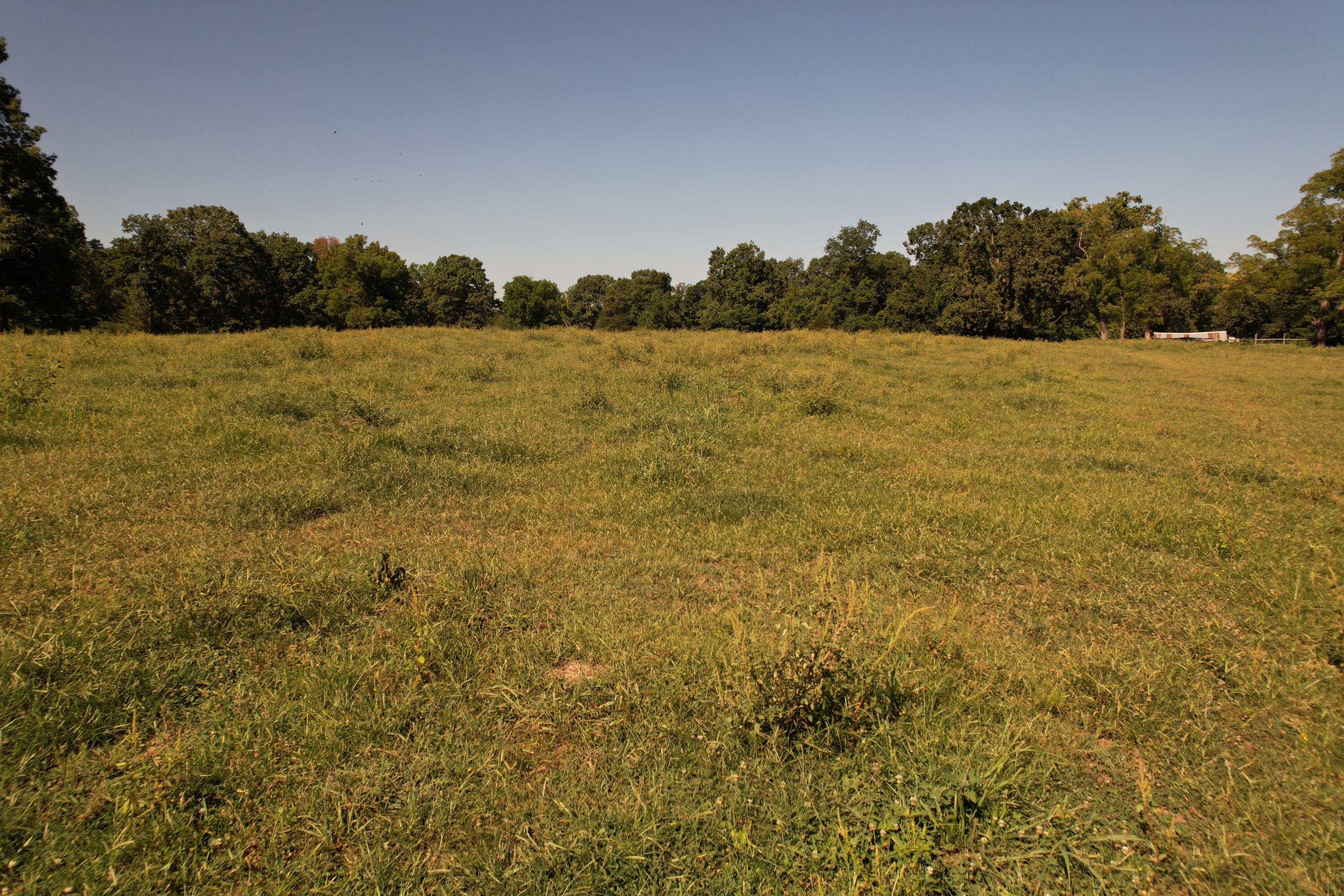 Tract 1 0000 Farm Road 1085 Property Photo 36