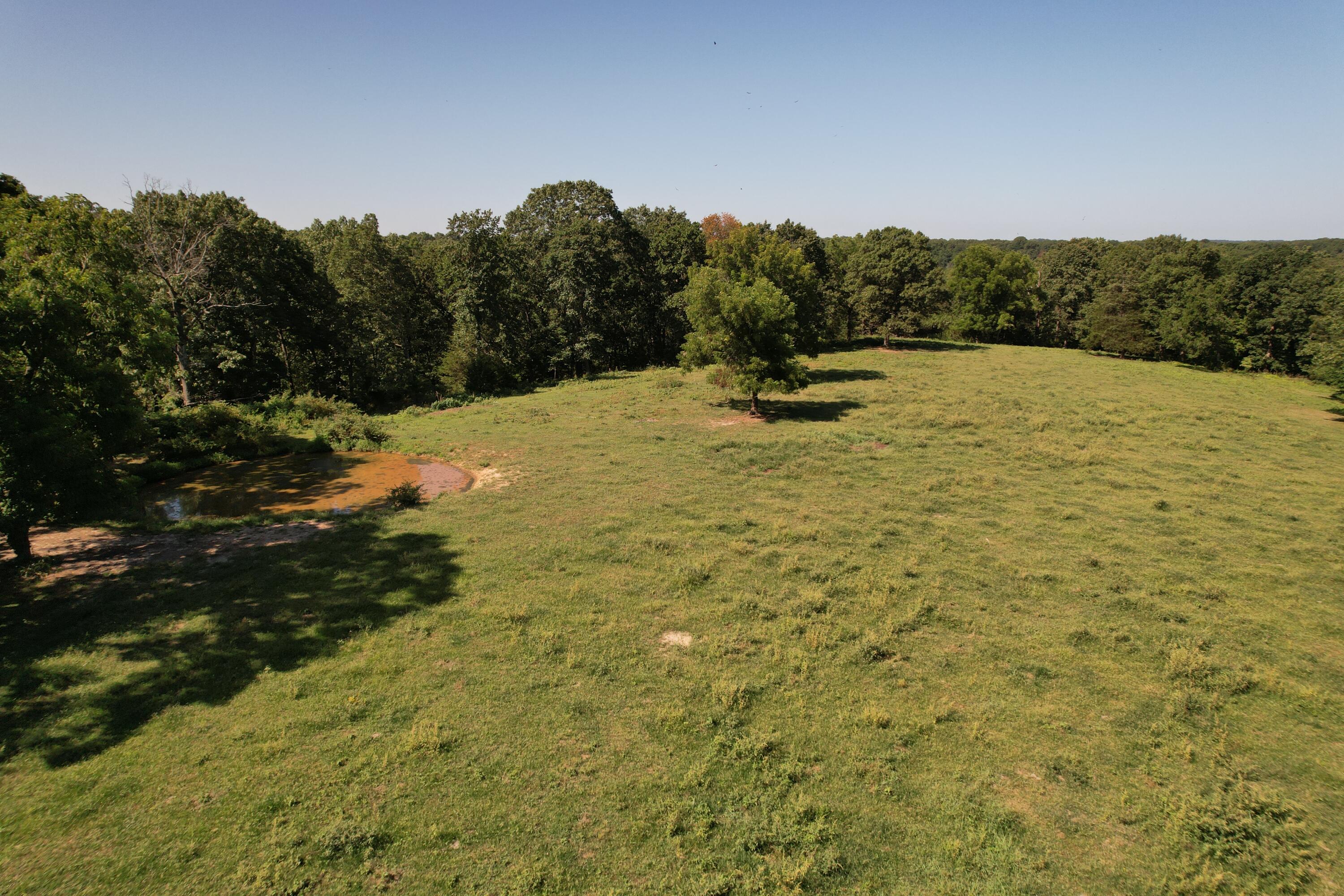 Tract 1 0000 Farm Road 1085 Property Photo 38