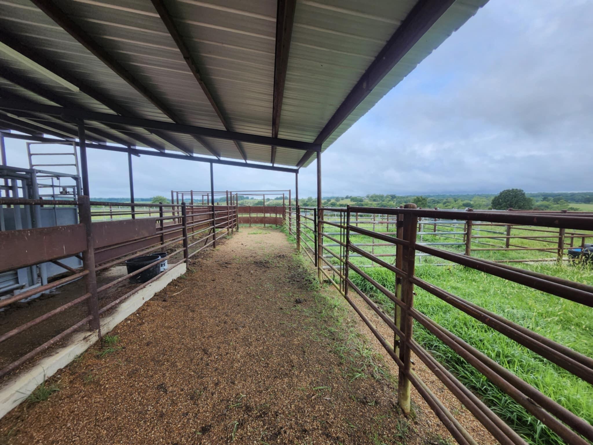 9551 Highway Ff Property Photo 17