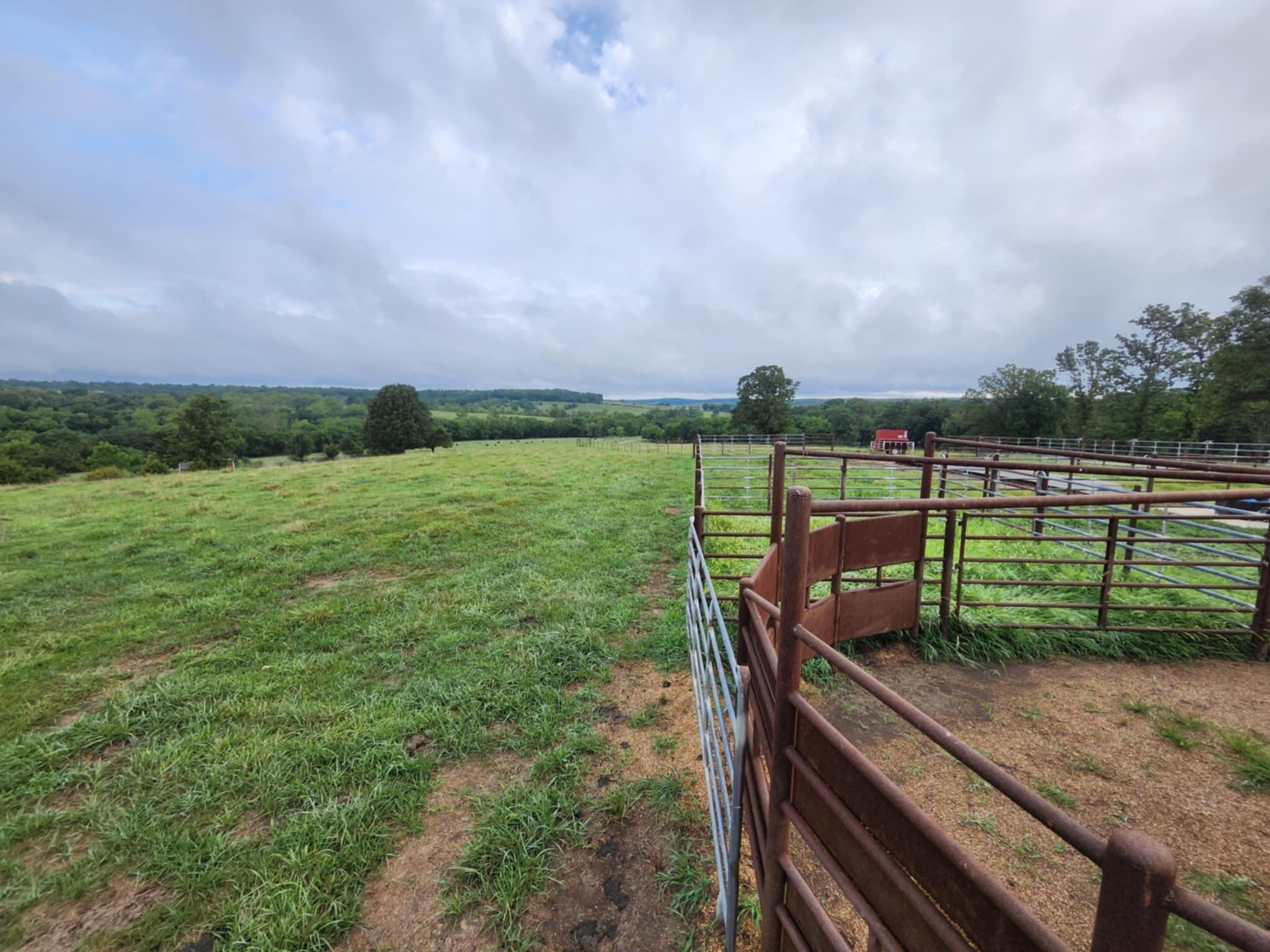 9551 C-highway Ff Property Photo 15