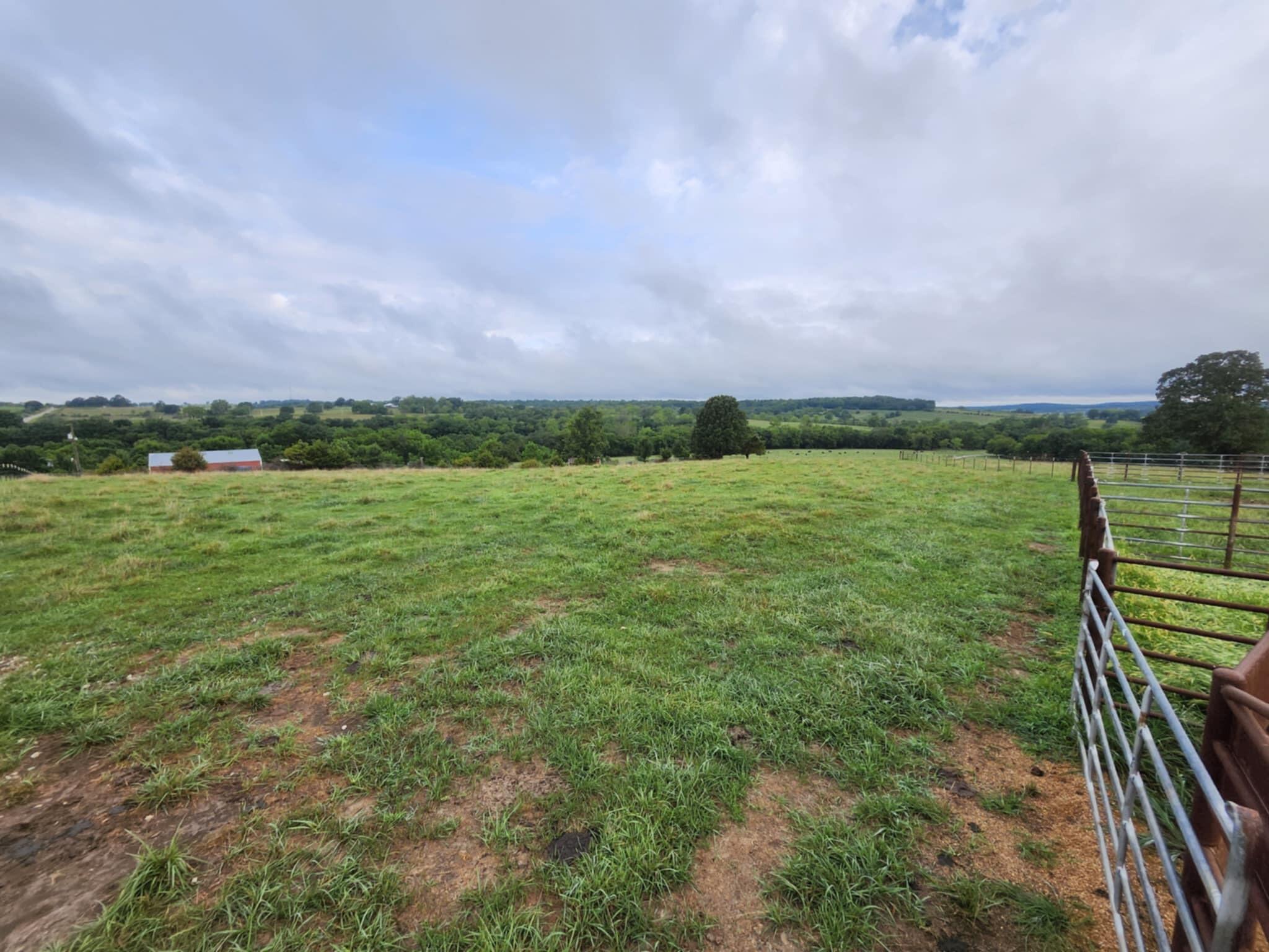9551 C-highway Ff Property Photo 21